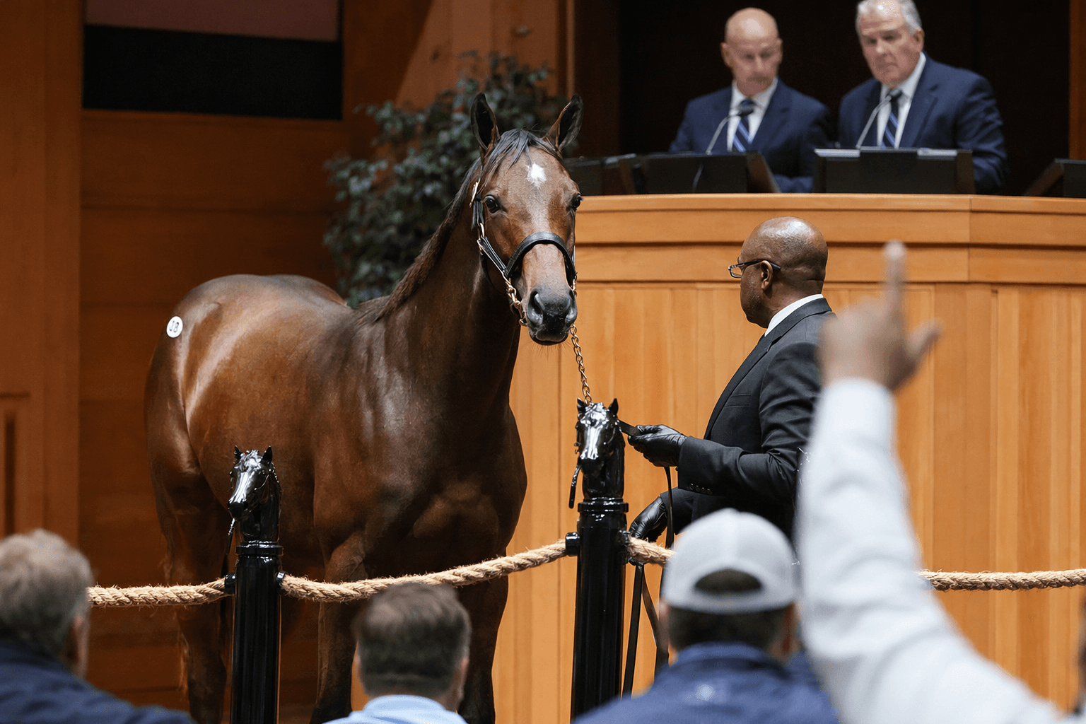 Gun Runner filly tops Fasig-Tipton Midlantic sale at $1.375 million