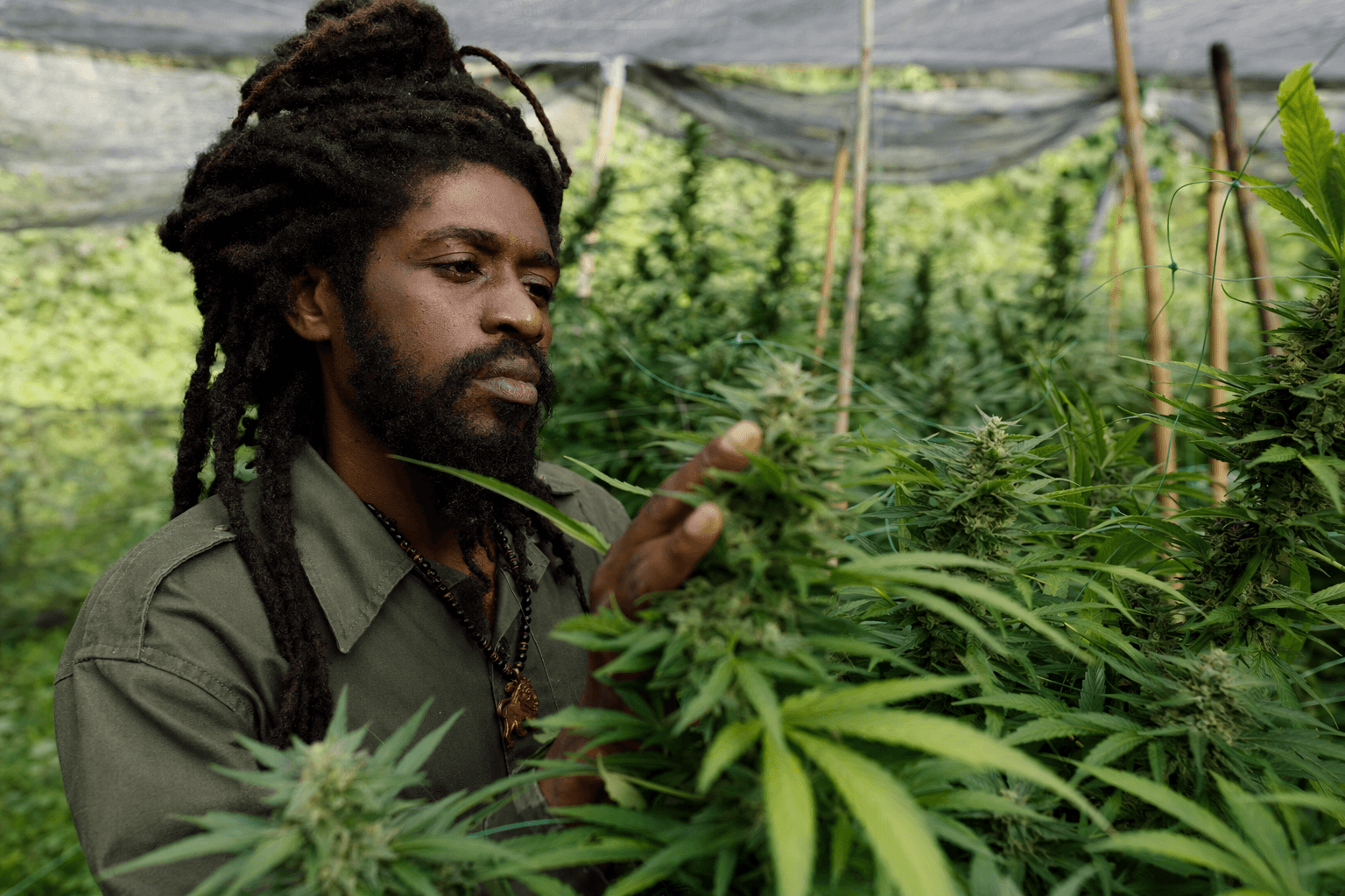 King Inkosi uses Cannabis to spotlight Jamaica's herb farmers