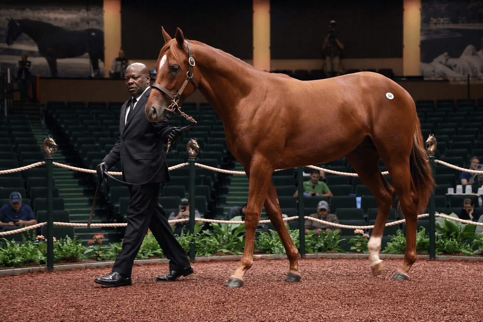 Flightline colt by Bar of Gold tops Timonium sale at $2.1 million