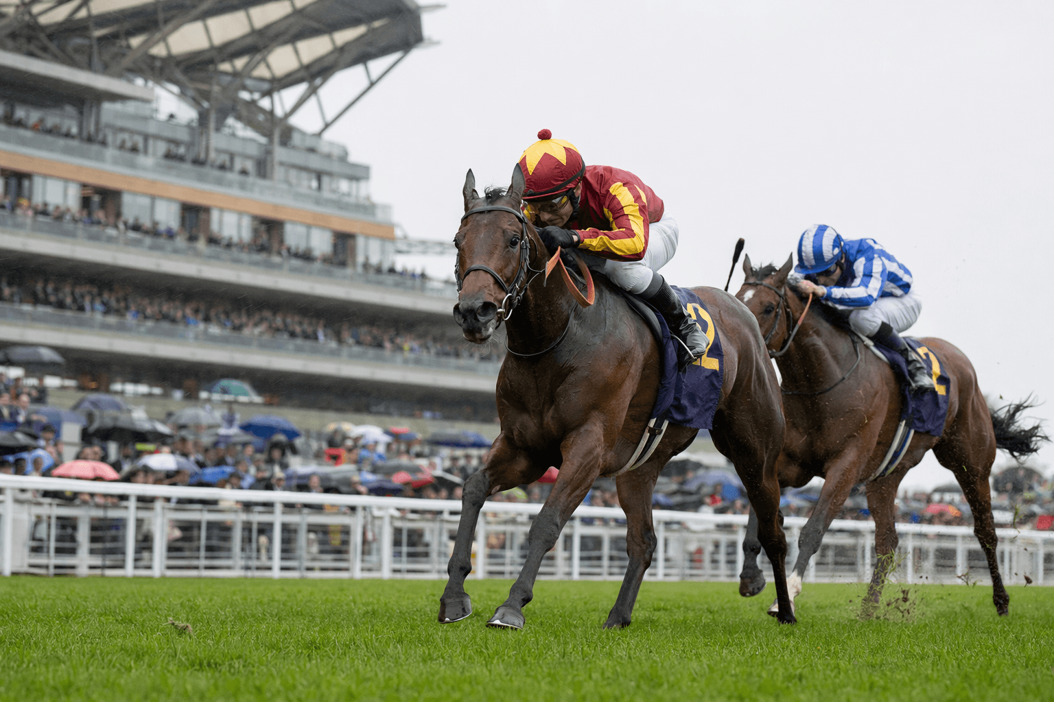 Cy Fair targets Royal Ascot sprint against the boys