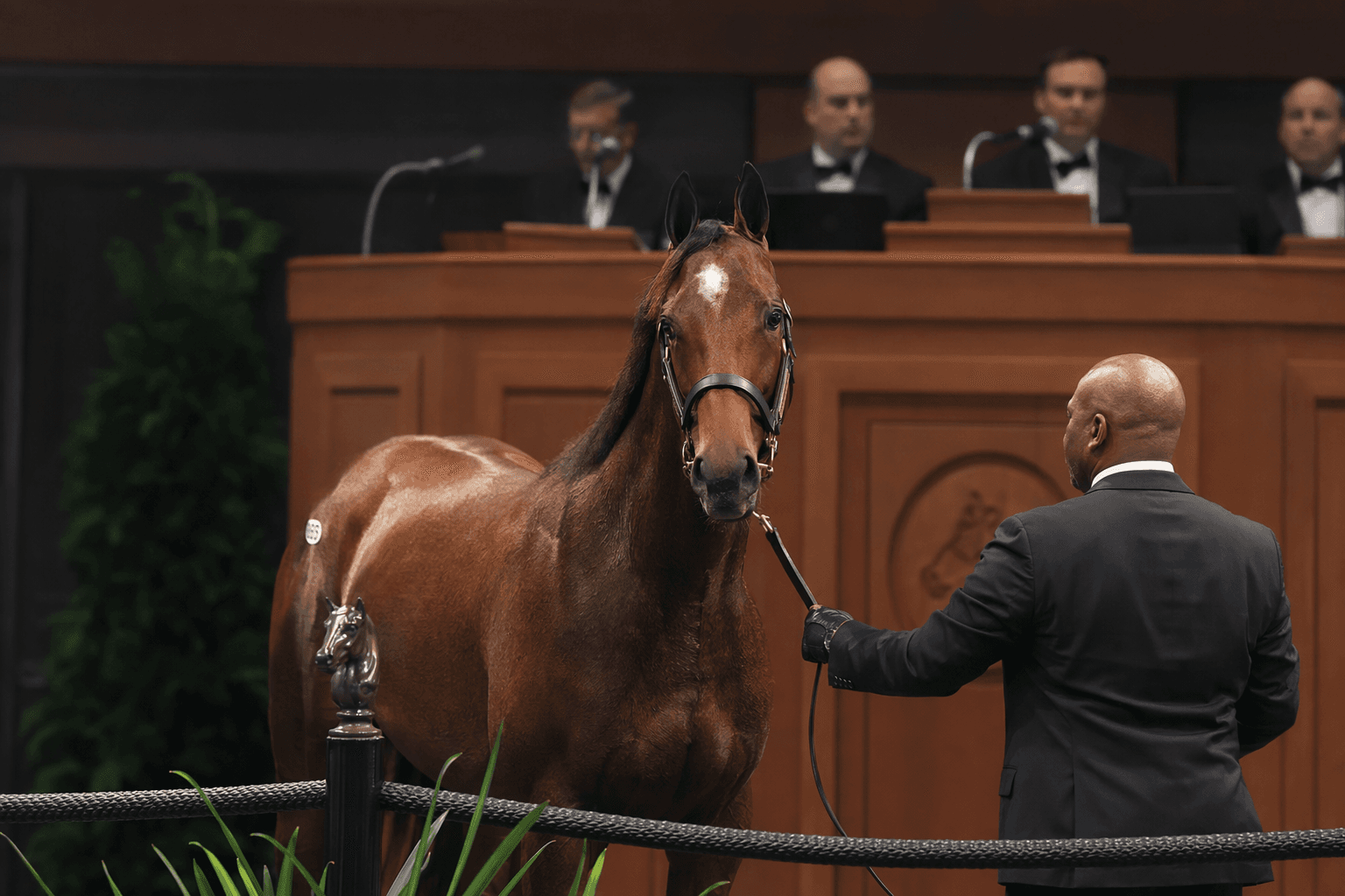 Legion Bloodstock pays $750,000 for top Jackie’s Warrior filly at Fasig-Tipton sale