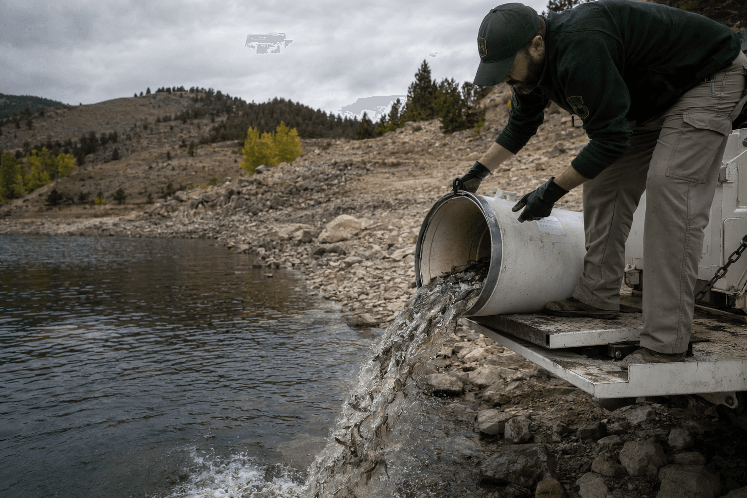 5,000 rainbow trout stocked at Echo State Park amid low water conditions