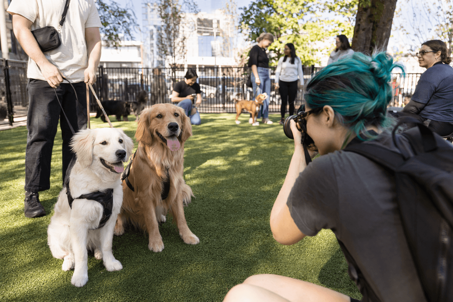 PSU opens first downtown Portland dog park with ribbon-cutting party