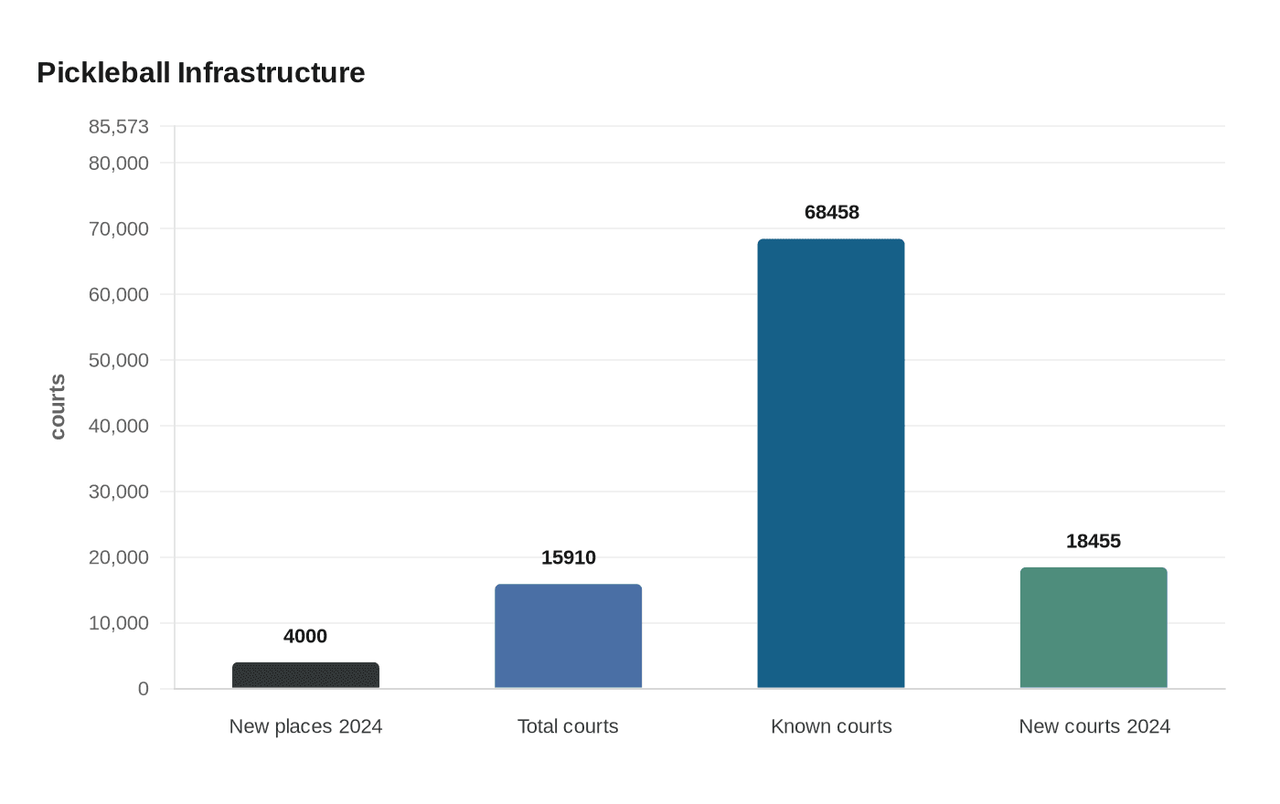 Pickleball Infrastructure