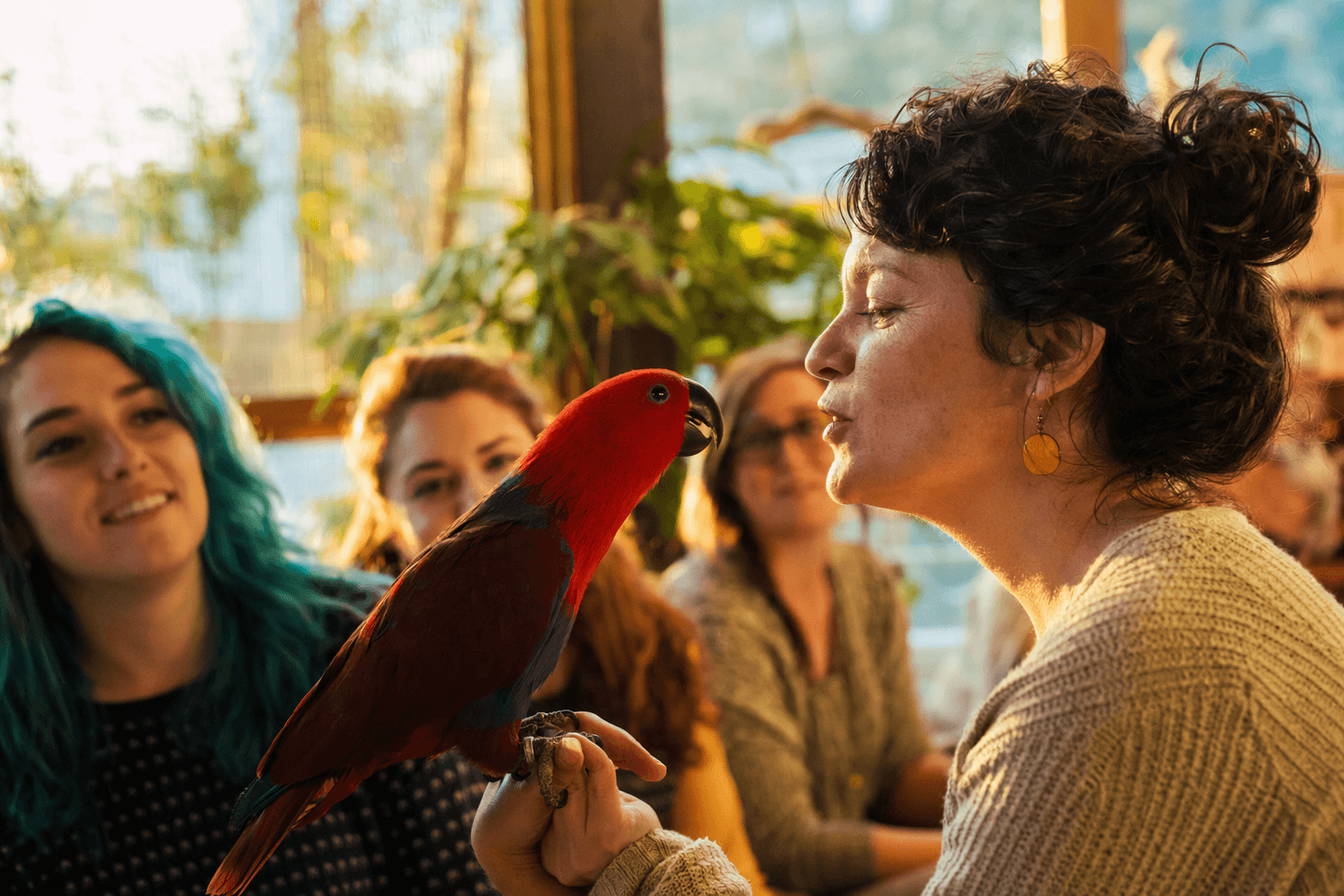 Gideon the Eclectus parrot chats with mom, showing how parrots communicate