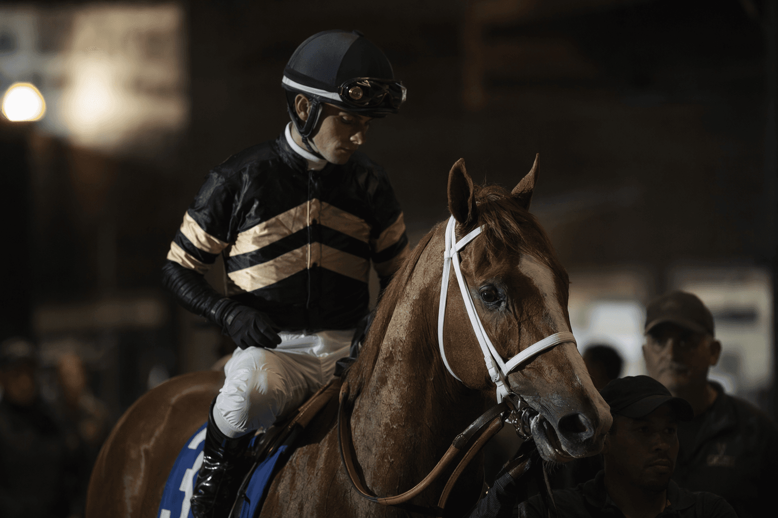 Publisher seeks first graded win in Steve Sexton Mile Stakes