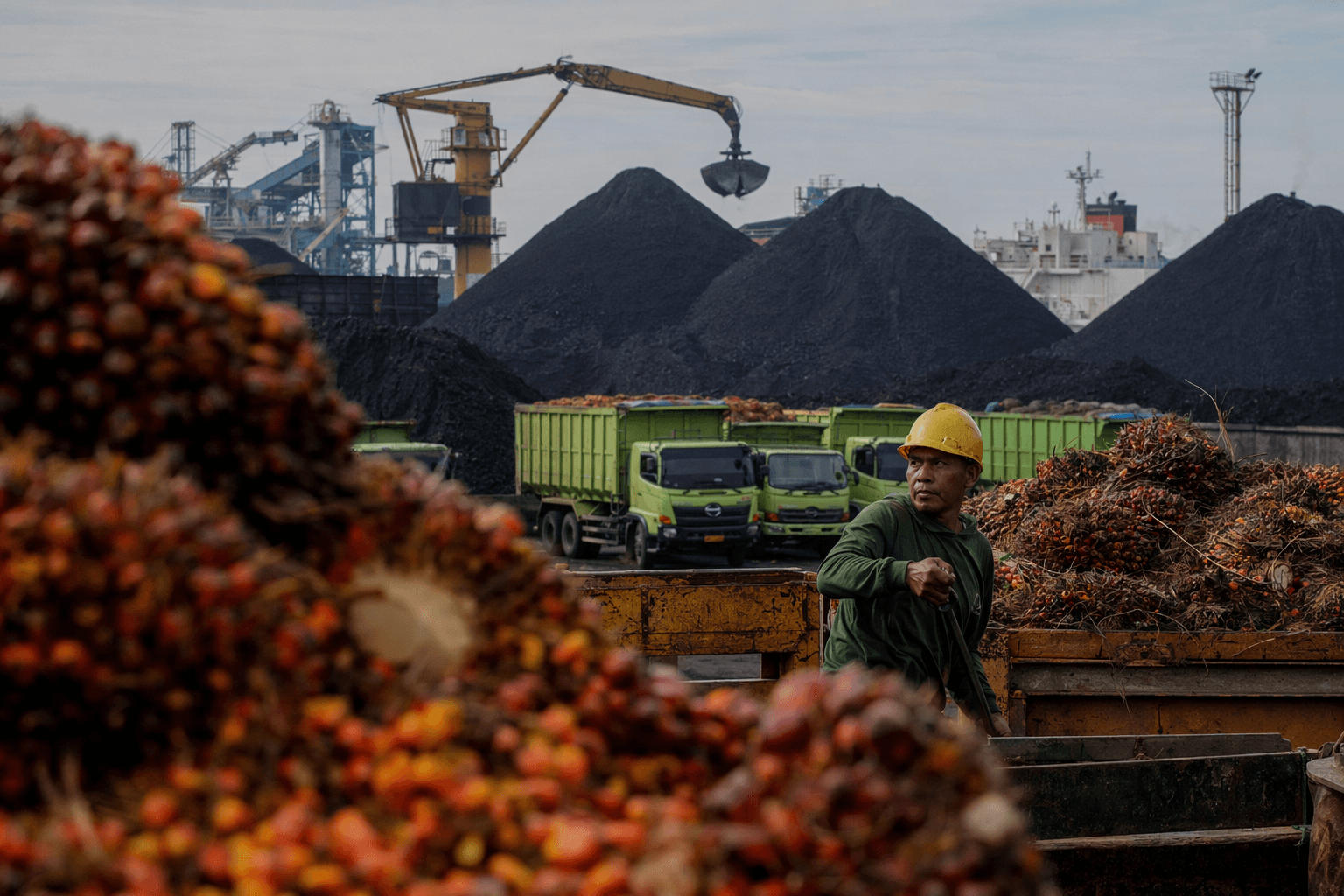 Indonesia plans state export monopoly for palm oil, coal to boost revenue