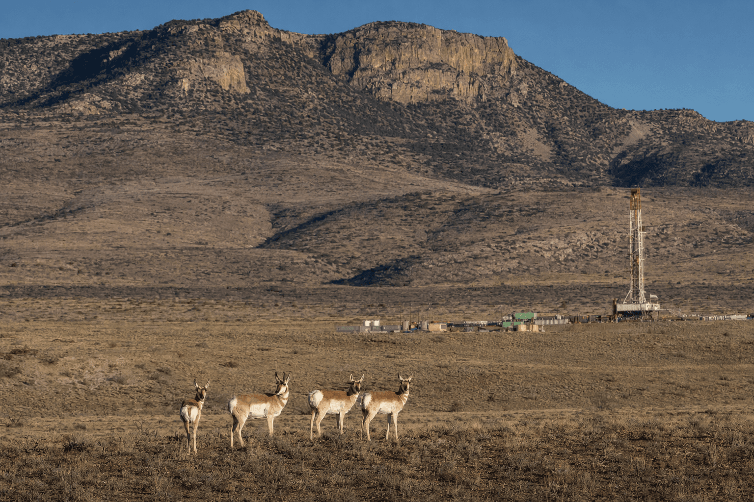 Conservation groups urge halt to gold, silver exploration in Hidalgo County