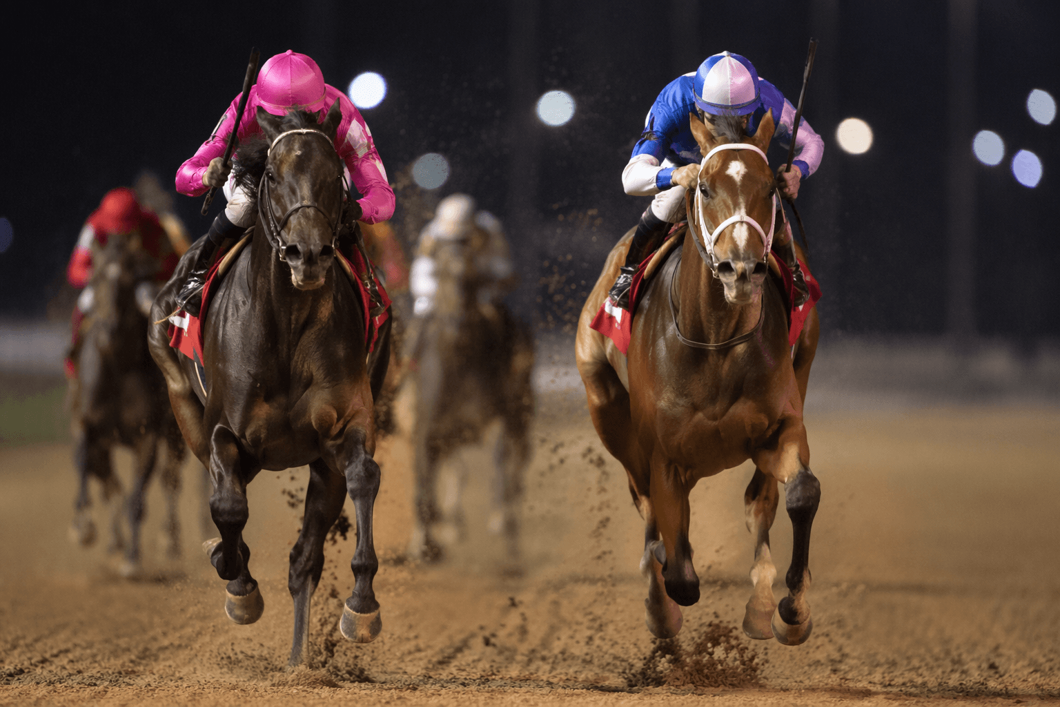 Usha’s Grade 1 form faces Kapoor’s winning streak in Winning Colors Stakes