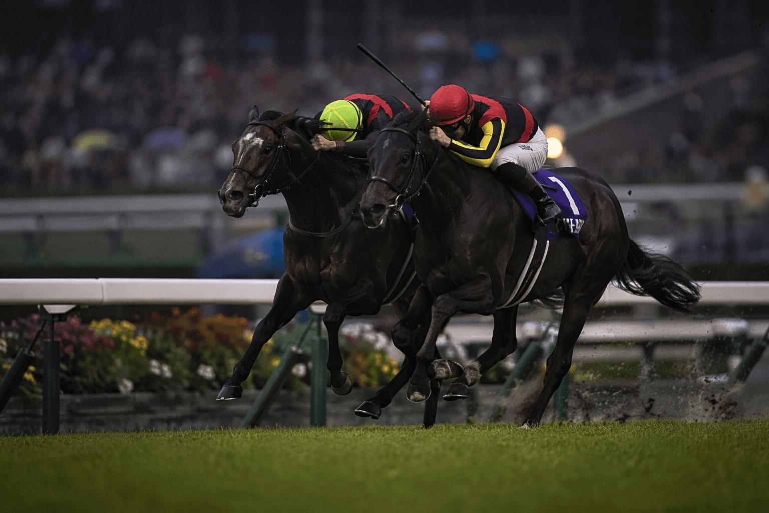 Croix du Nord wins Tenno Sho, keeps Triple Crown hopes alive