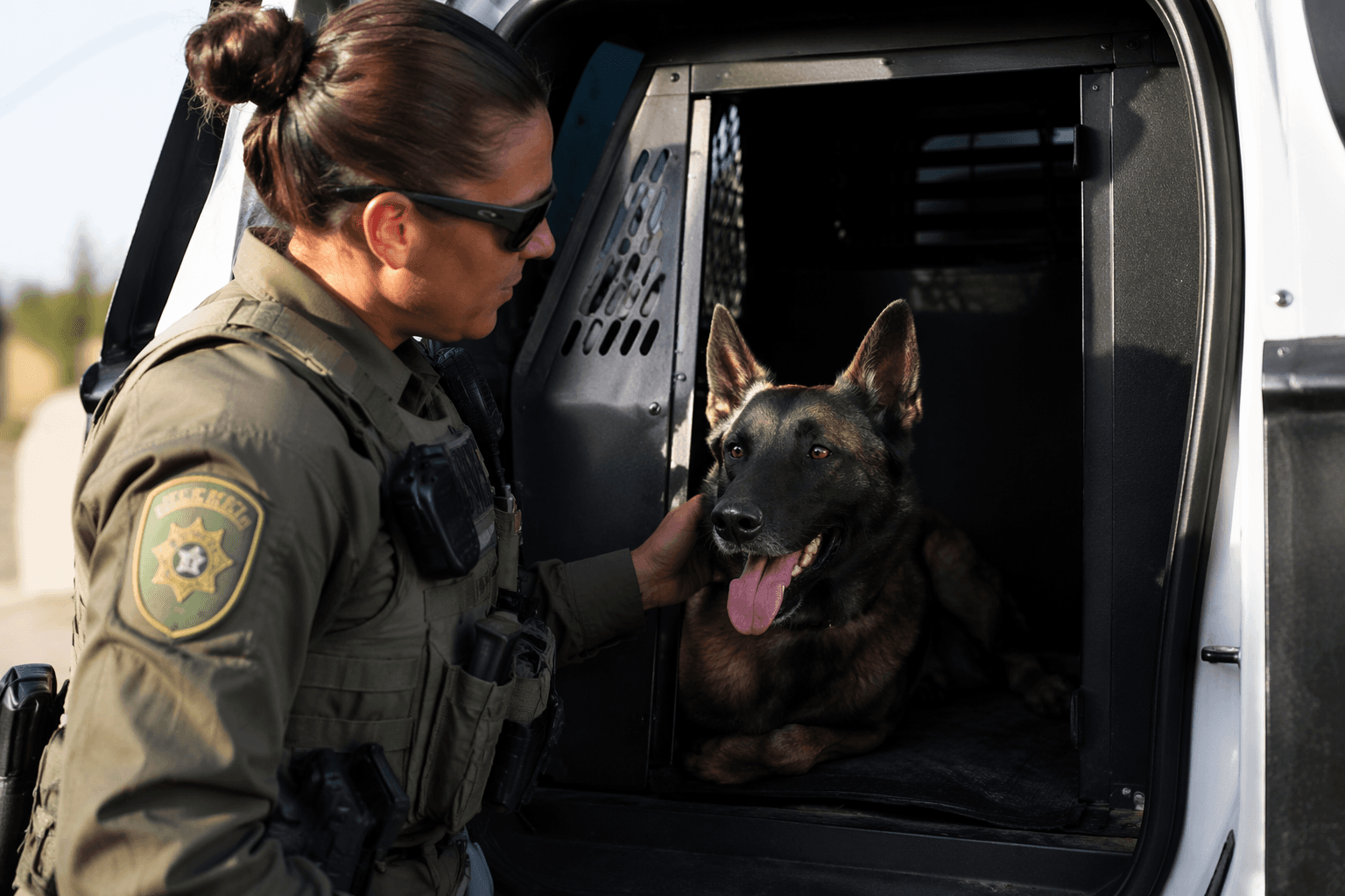 Vehicle safety for working dogs goes beyond hot-car warnings