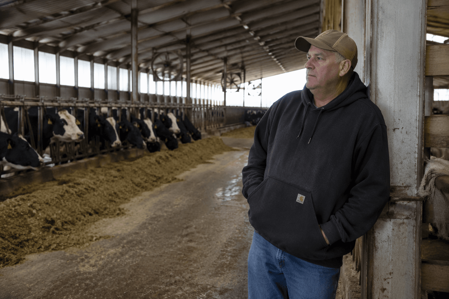 Minnesota dairy farmers urged to seek relief as market pressures continue