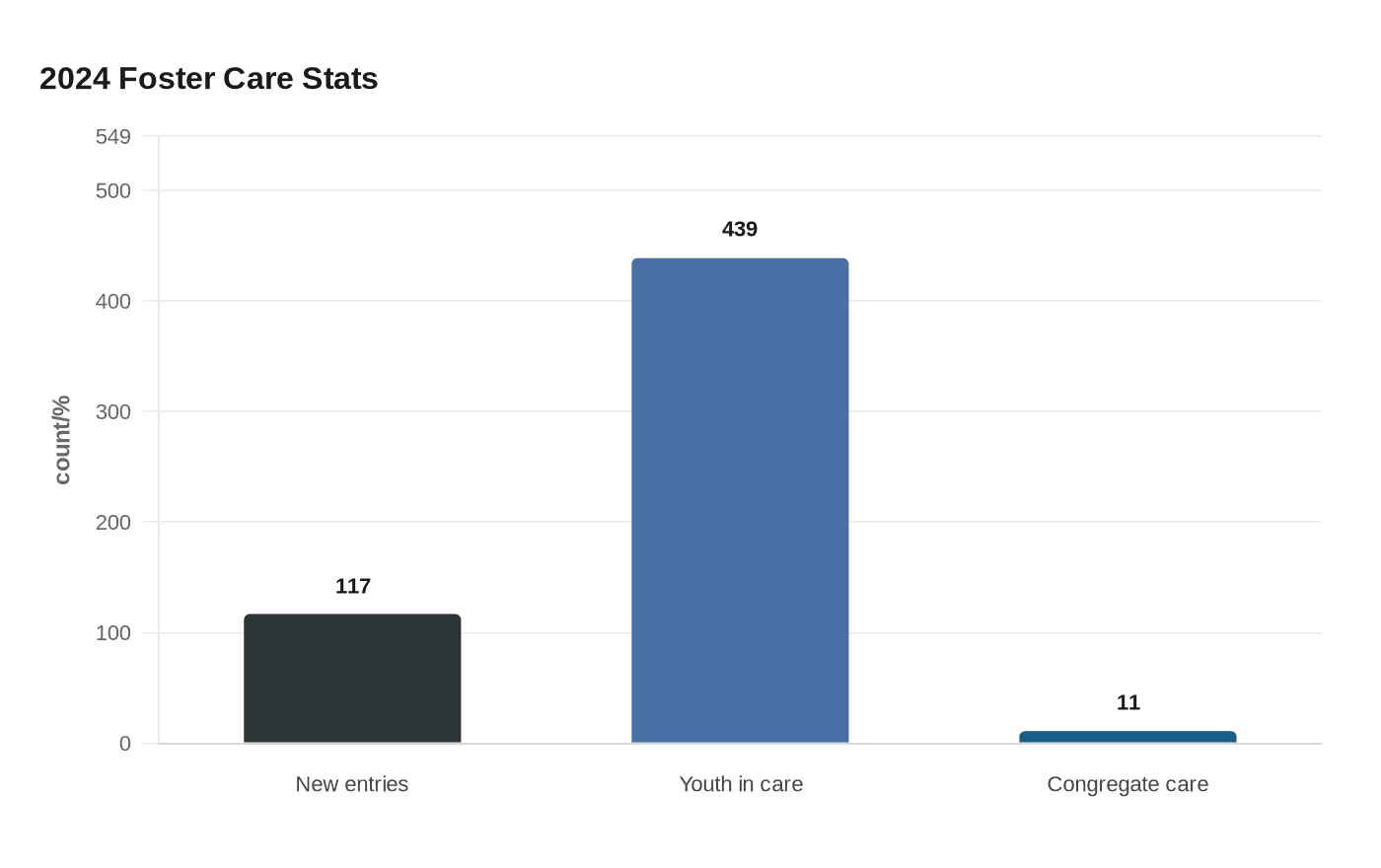 2024 Foster Care Stats