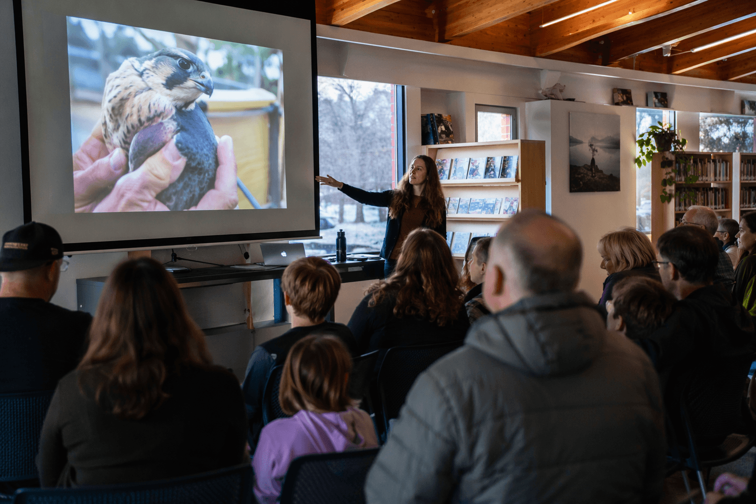 Silver Bay library event spotlights peregrine recovery through photography