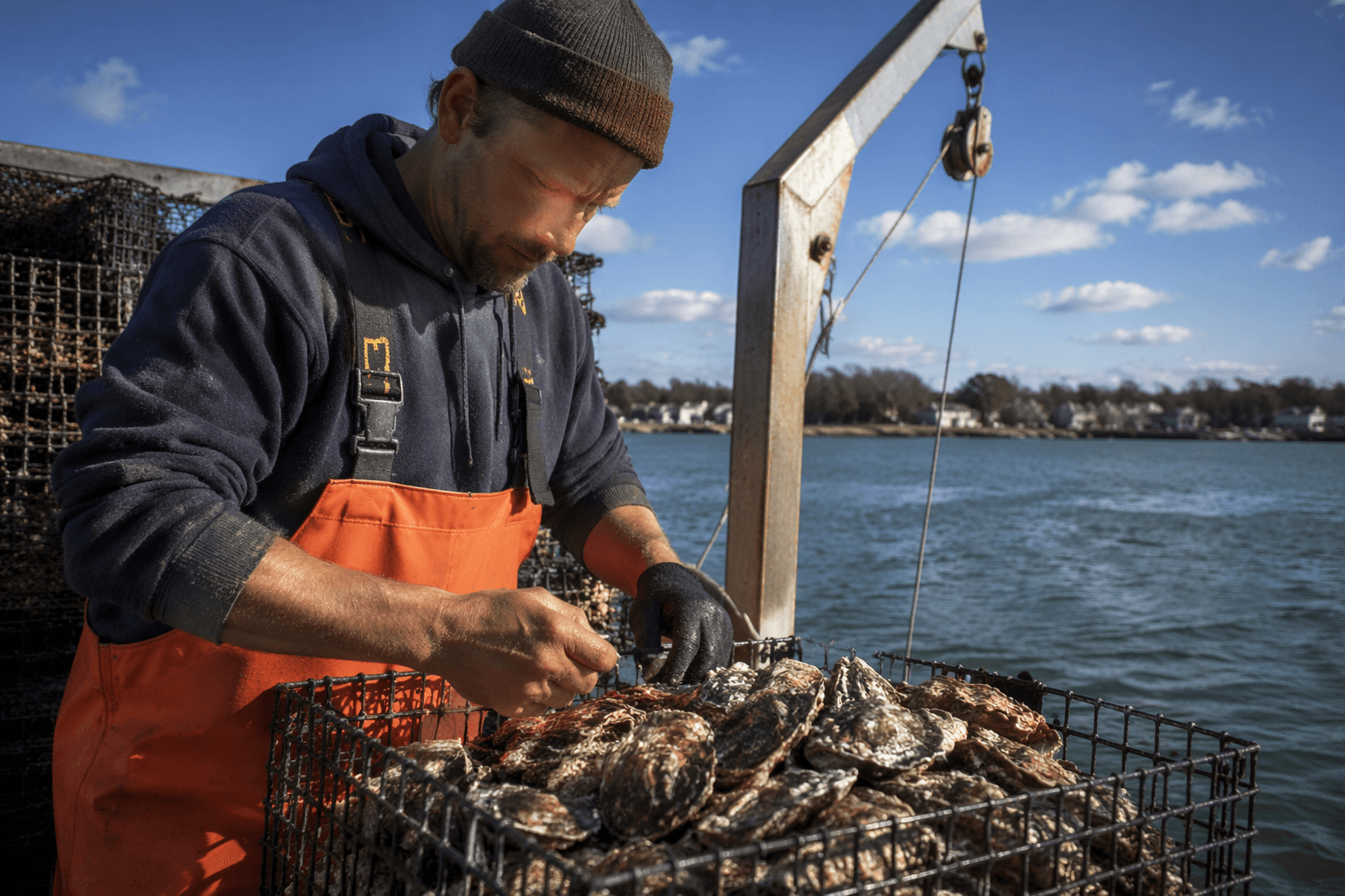 USDA disaster declaration brings aid to Suffolk County oyster farmers