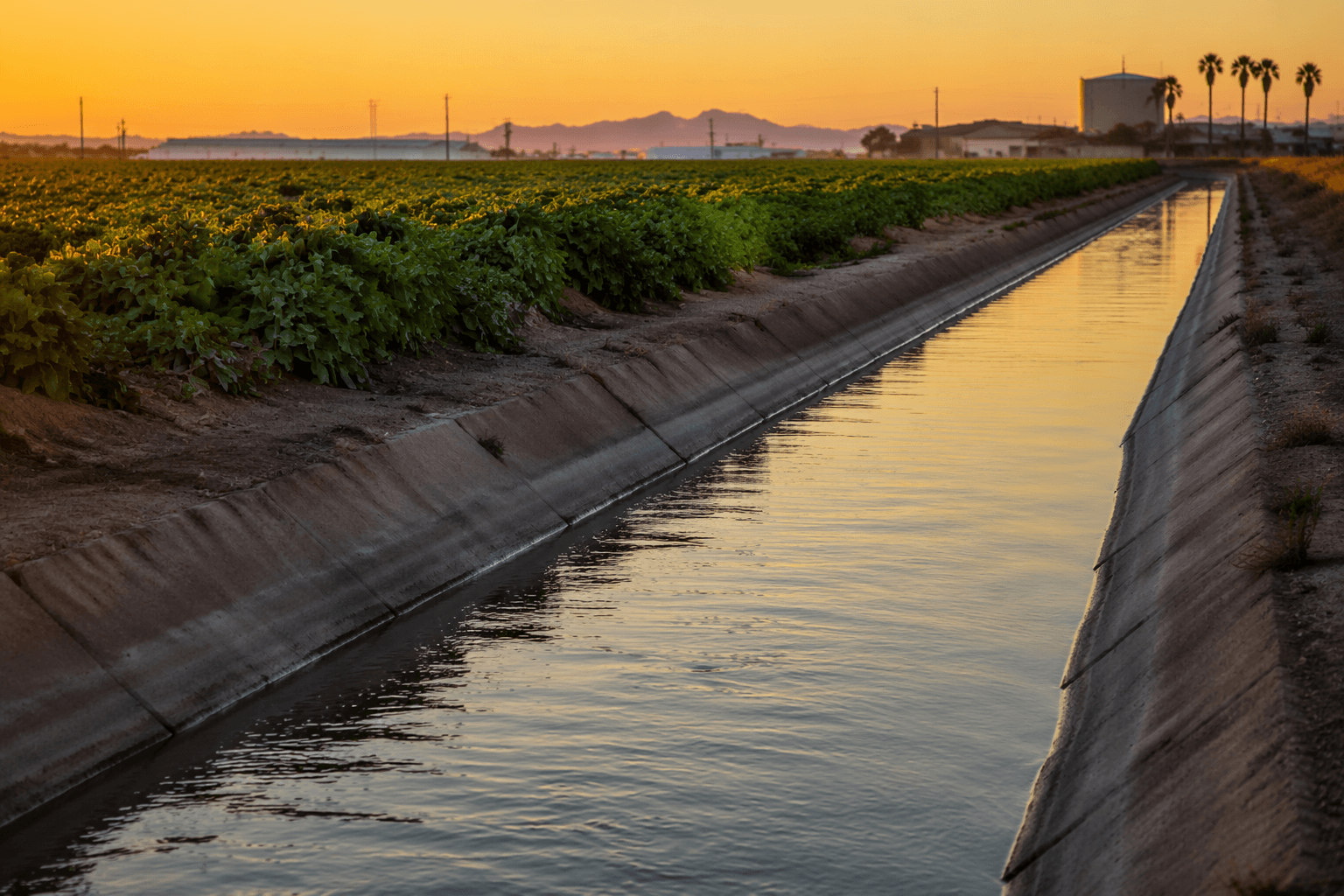 Biggs touts water, farming priorities at Yuma GOP meeting