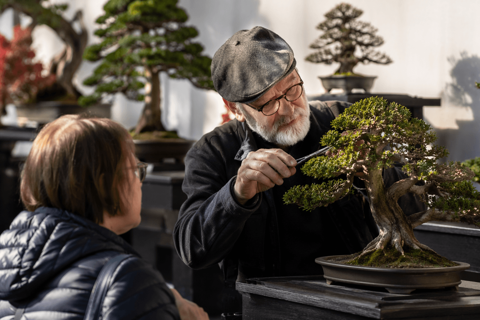 Lynden bonsai exhibit opens season-long public display by Big Lake