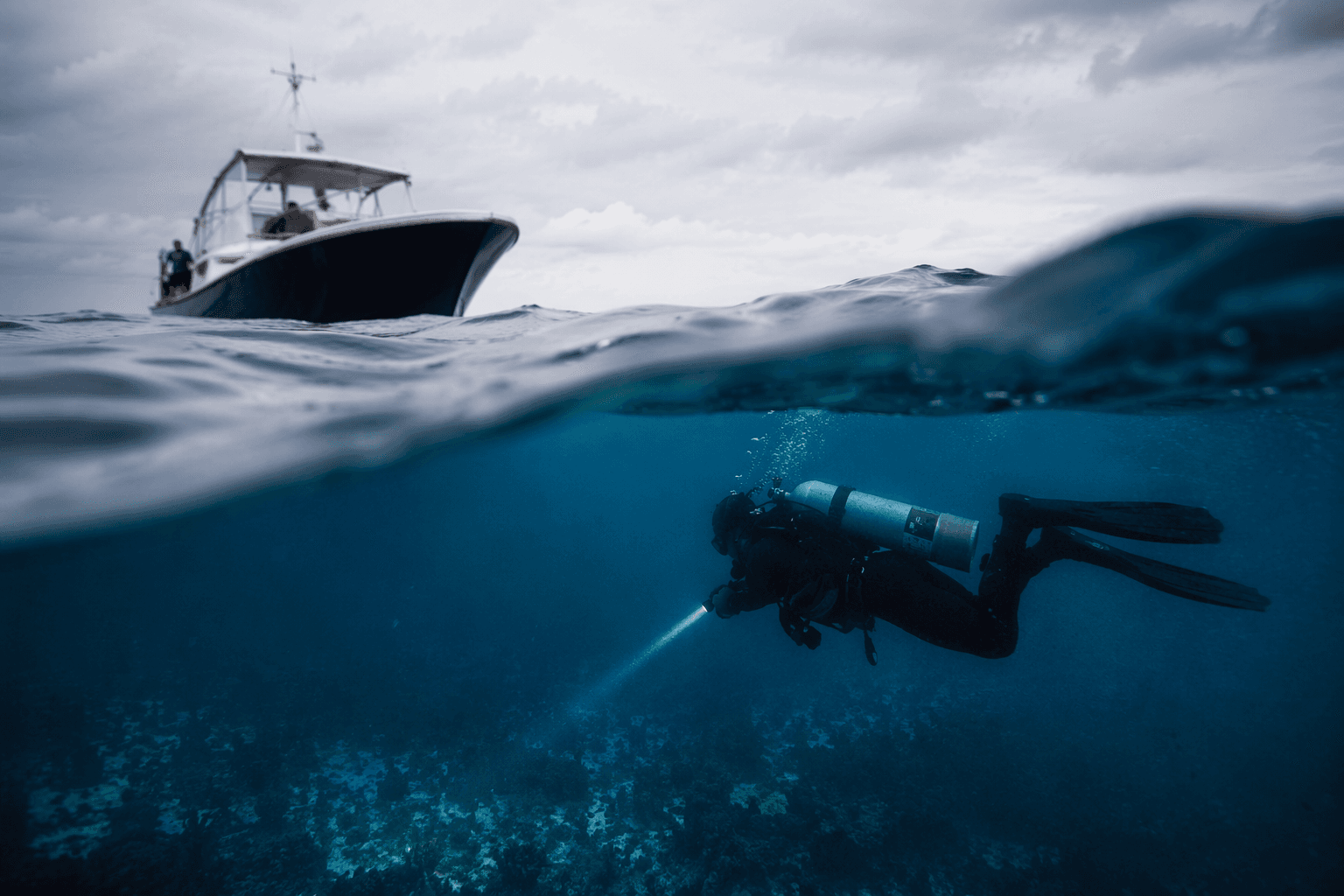 U.S. divers may search new areas in Lynette Hooker case