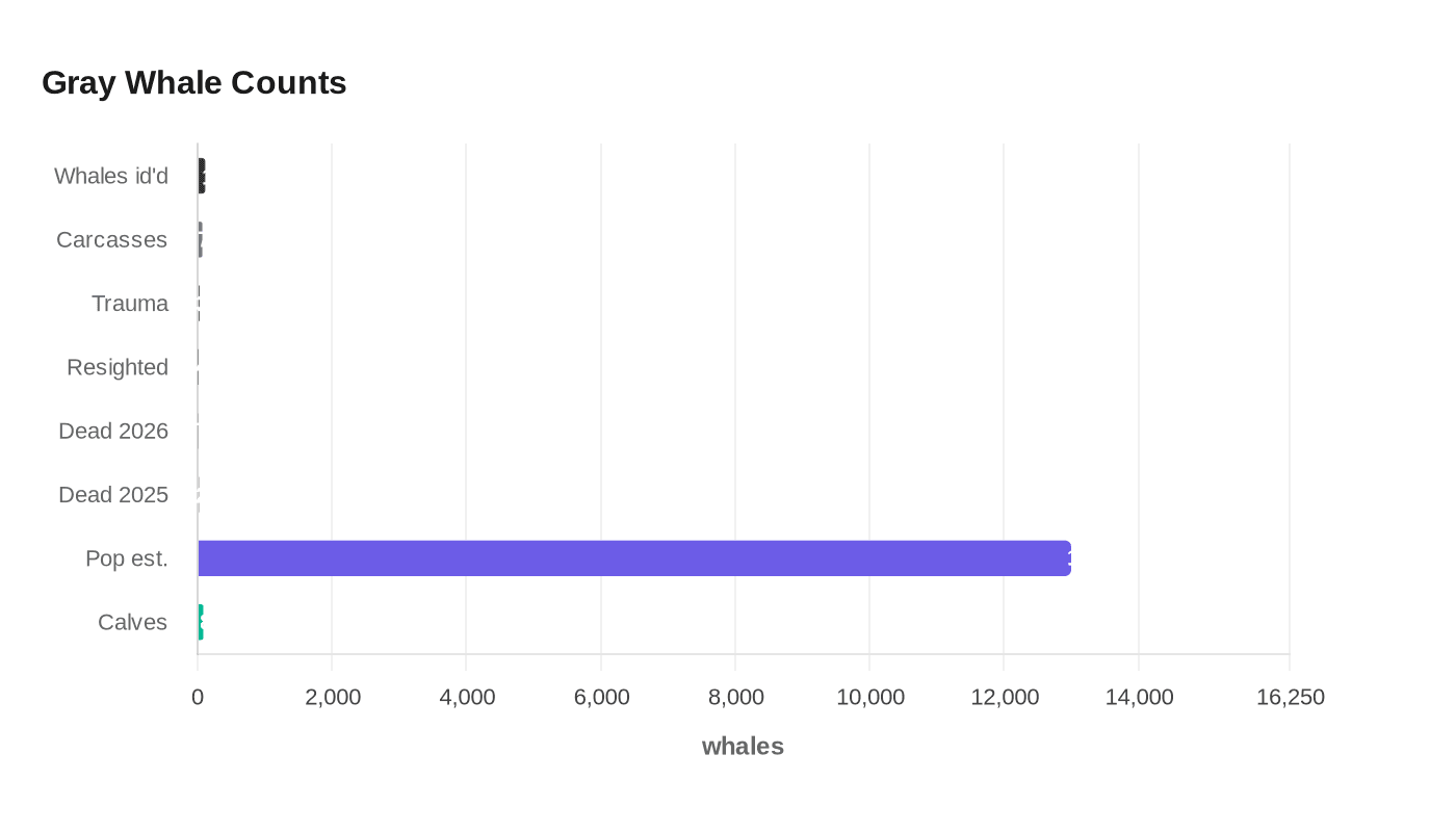 Gray Whale Counts