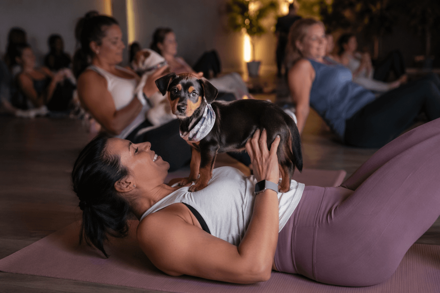 Oswego puppy yoga sells out, blending rescue and relaxation