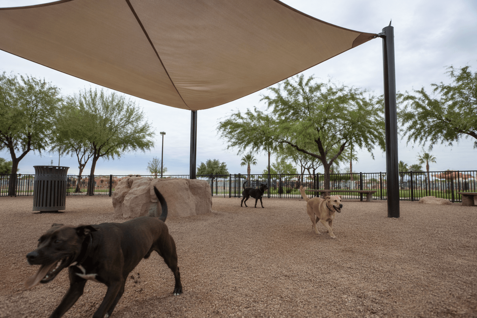 Bark Park reopens Saturday with new shade, fountain and trash bins