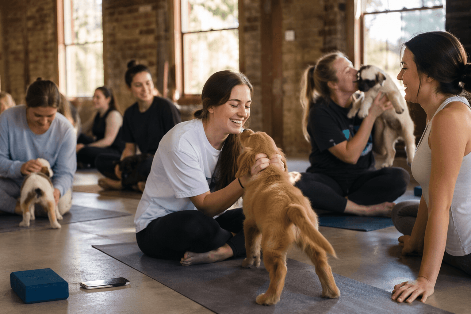 UWA Student Guild offers discounted puppy yoga for exam stress