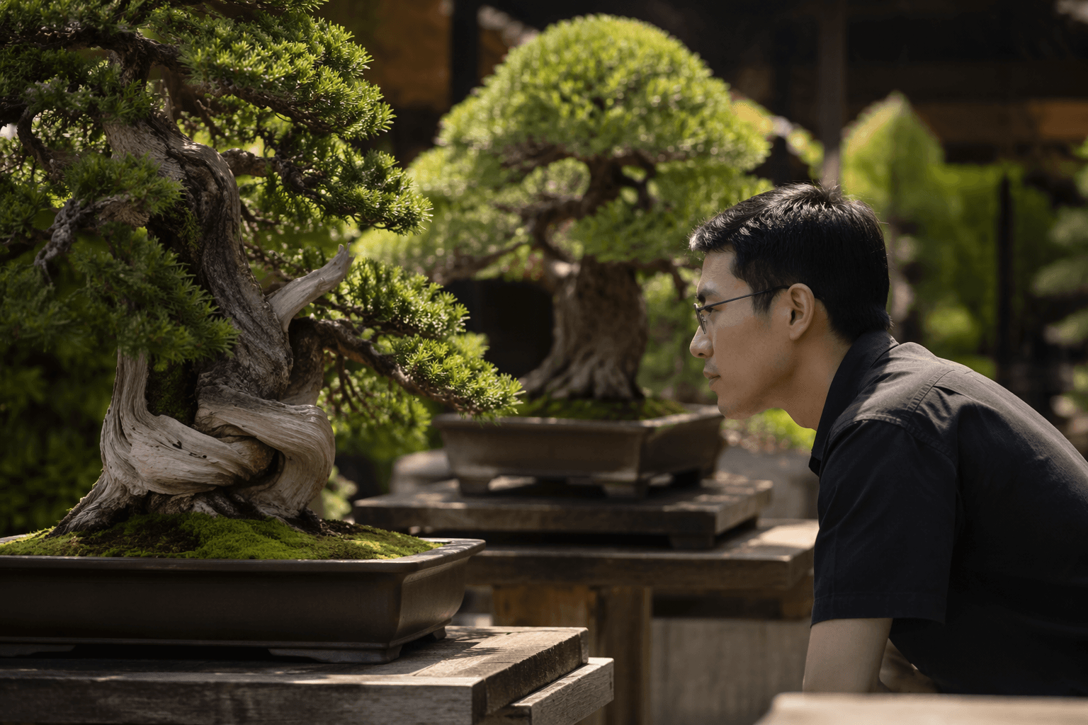 Pacific Bonsai Museum announces summer solstice event and global bonsai exhibition