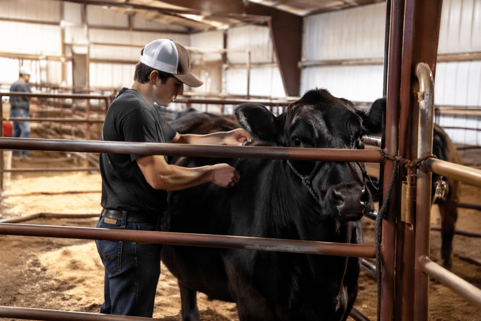 Texhoma Public Schools seeking agricultural education teacher for 2026-27