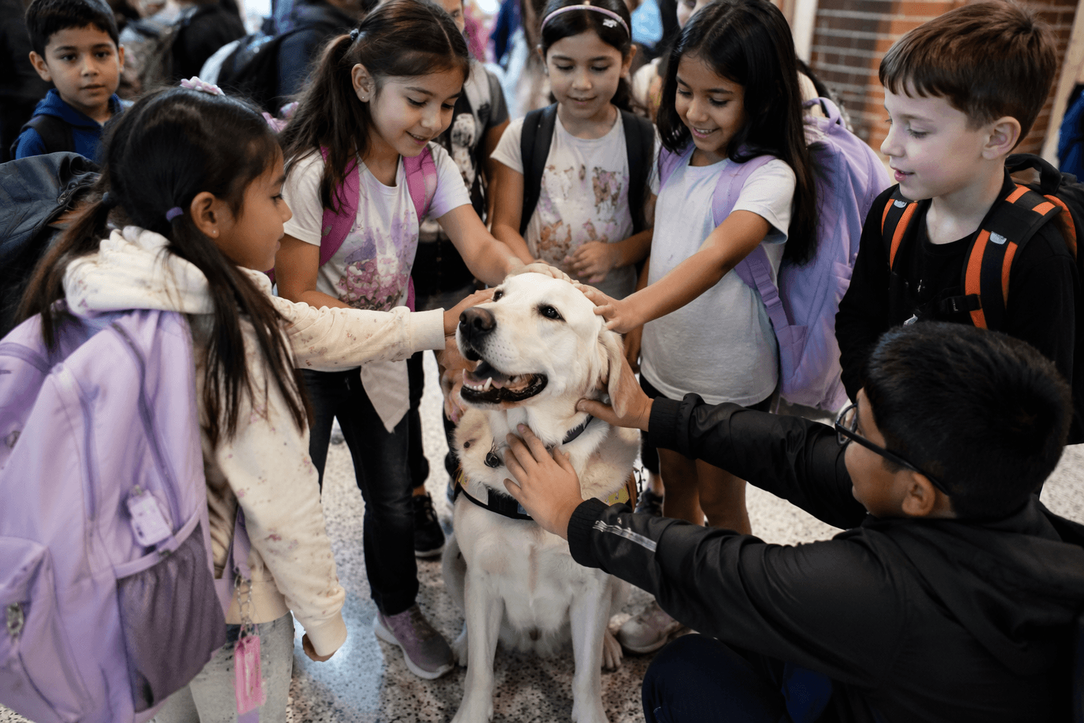 Bryan Elementary’s Boone the facility dog becomes school favorite