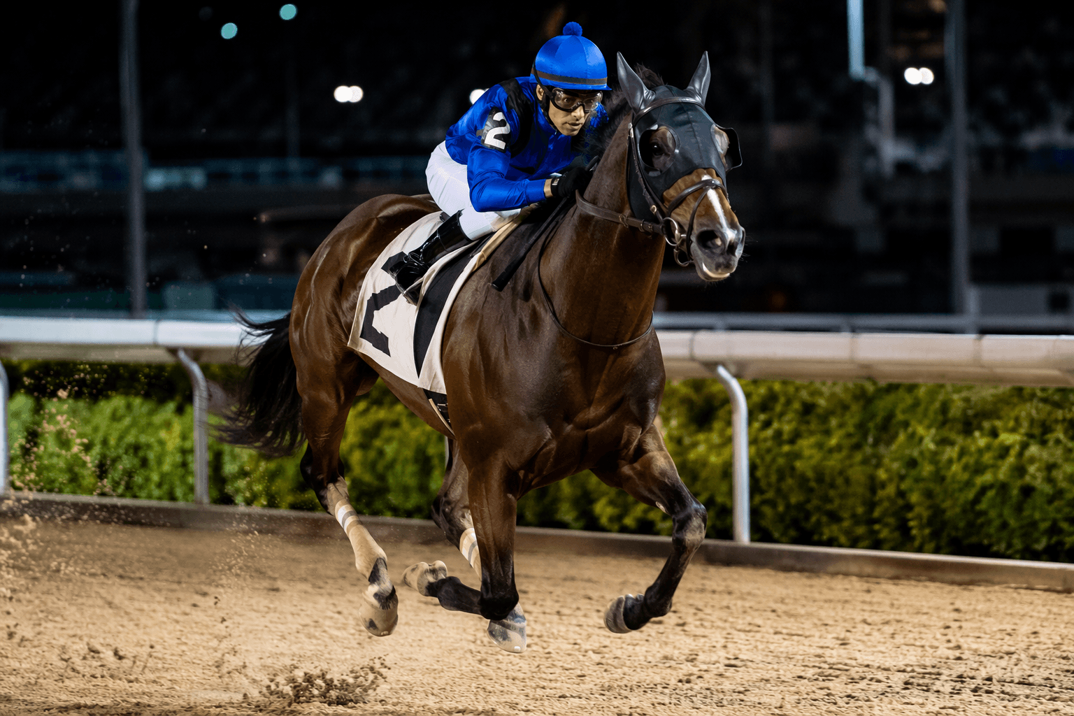 Samy Camacho seizes Gulfstream chance, leads Royal Palm Meet standings