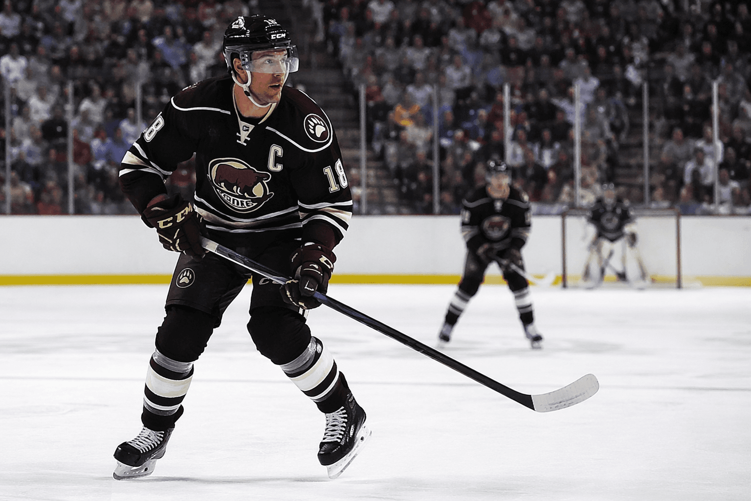 Aaron Ness retires after 16-year AHL career, two Calder Cup titles