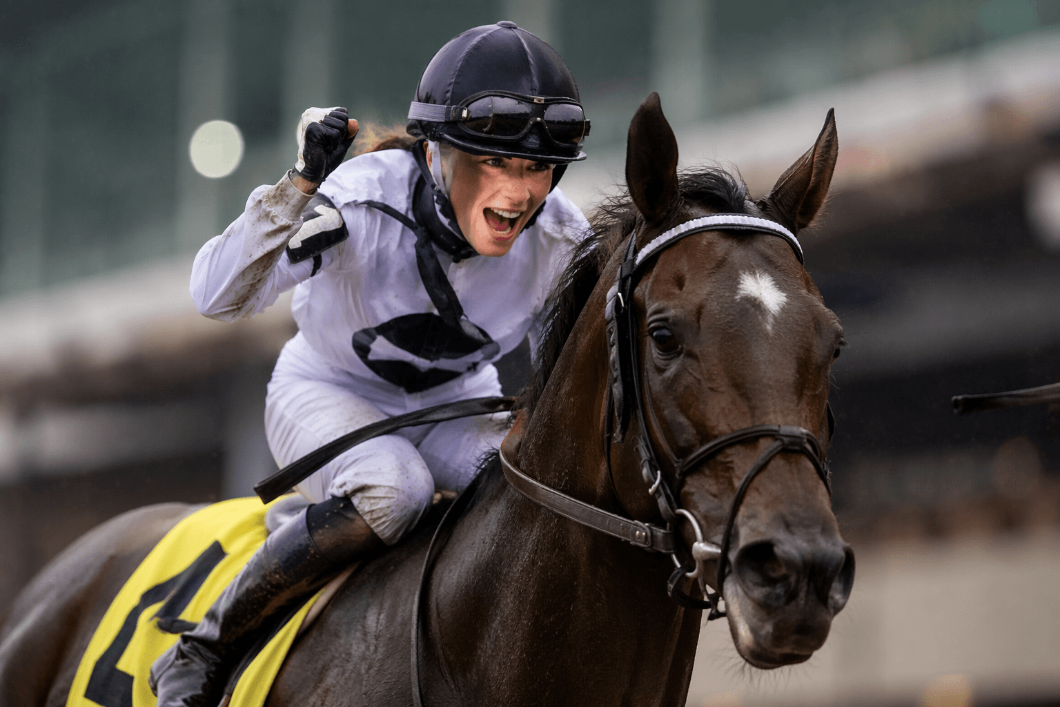 Dream leads Valerie Mastromonaco to Harpers First Ride success