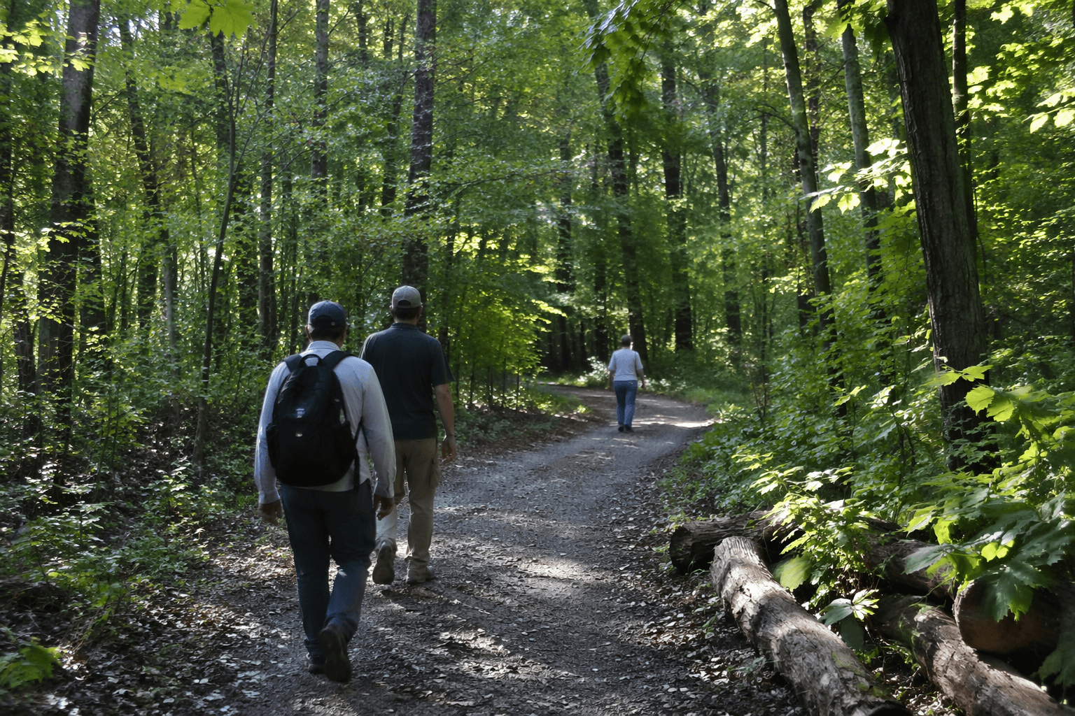 Ferdinand State Forest offers eastern Dubois County a shared outdoor escape