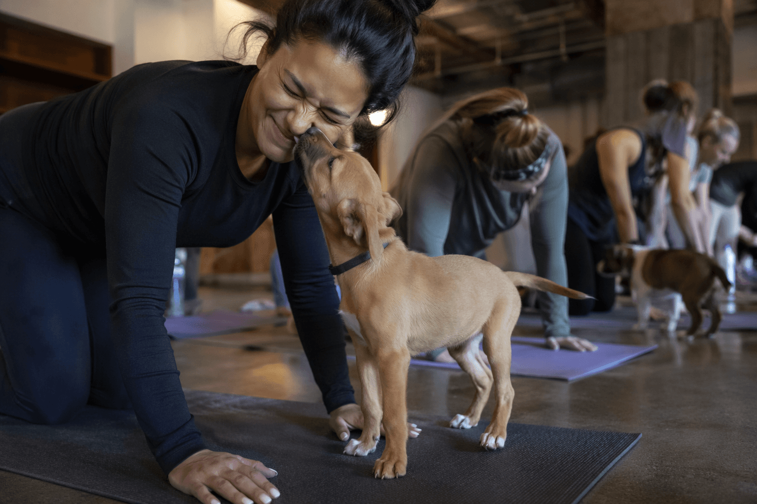 Washington, D.C. puppy yoga event pairs cuddles with rescue support