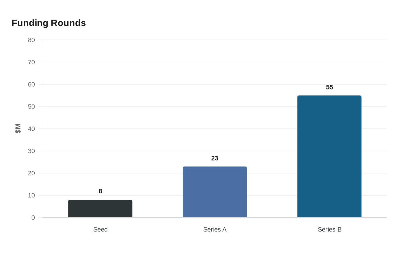 Funding Rounds