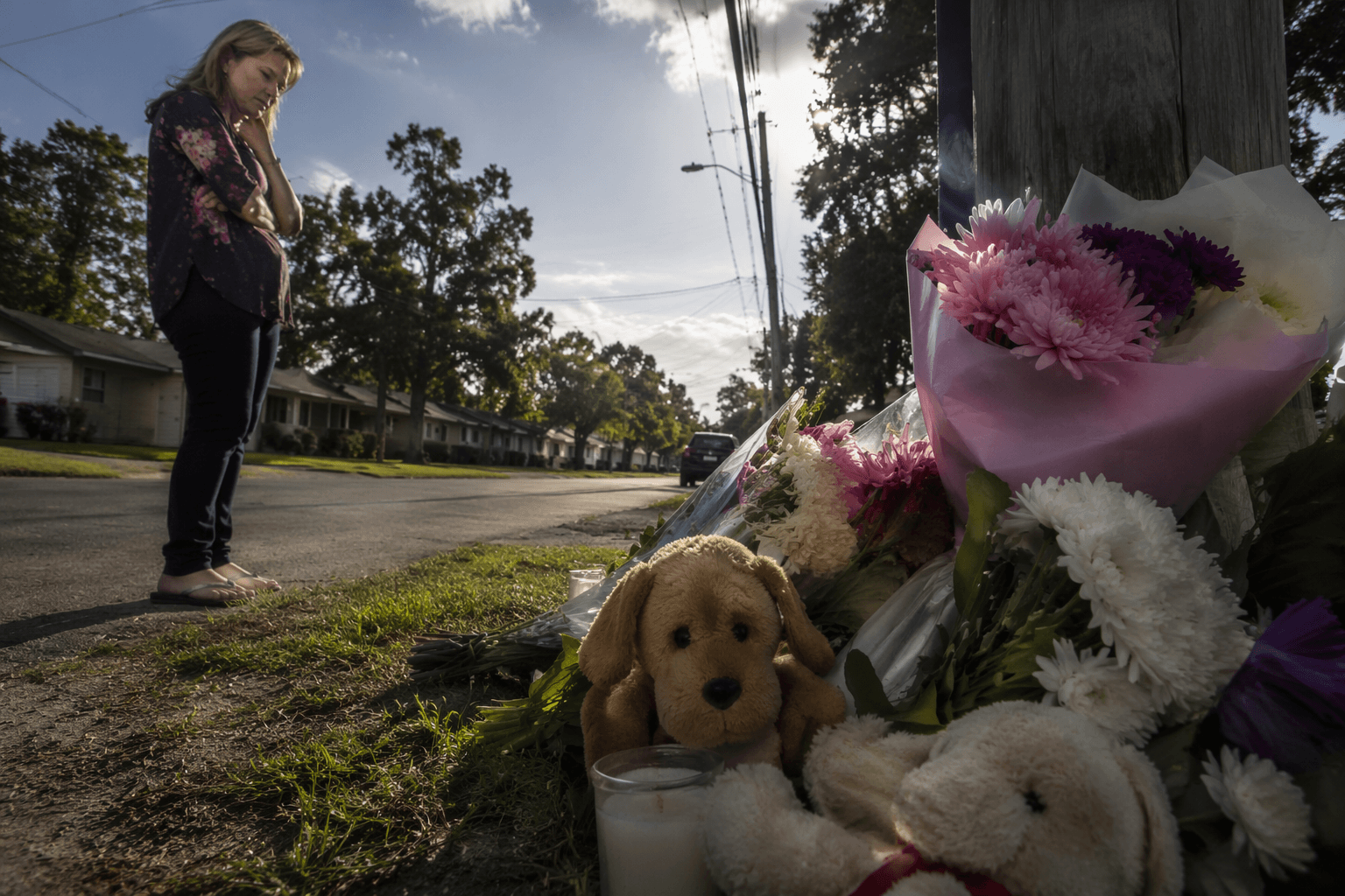Sheriff investigates mysterious dog deaths in Spring Hill neighborhood