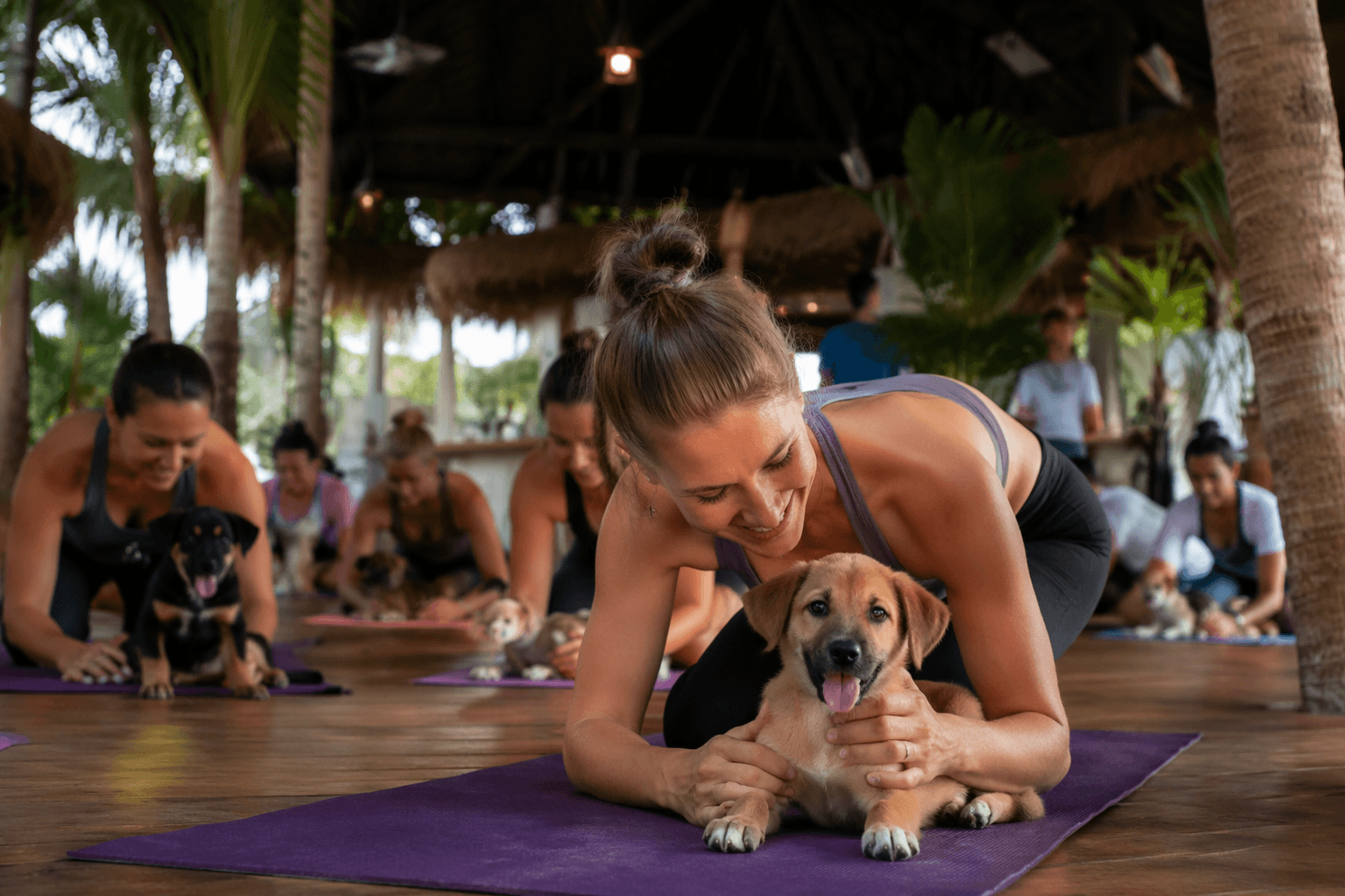 Aruba puppy yoga fundraiser promises wellness and rescue support
