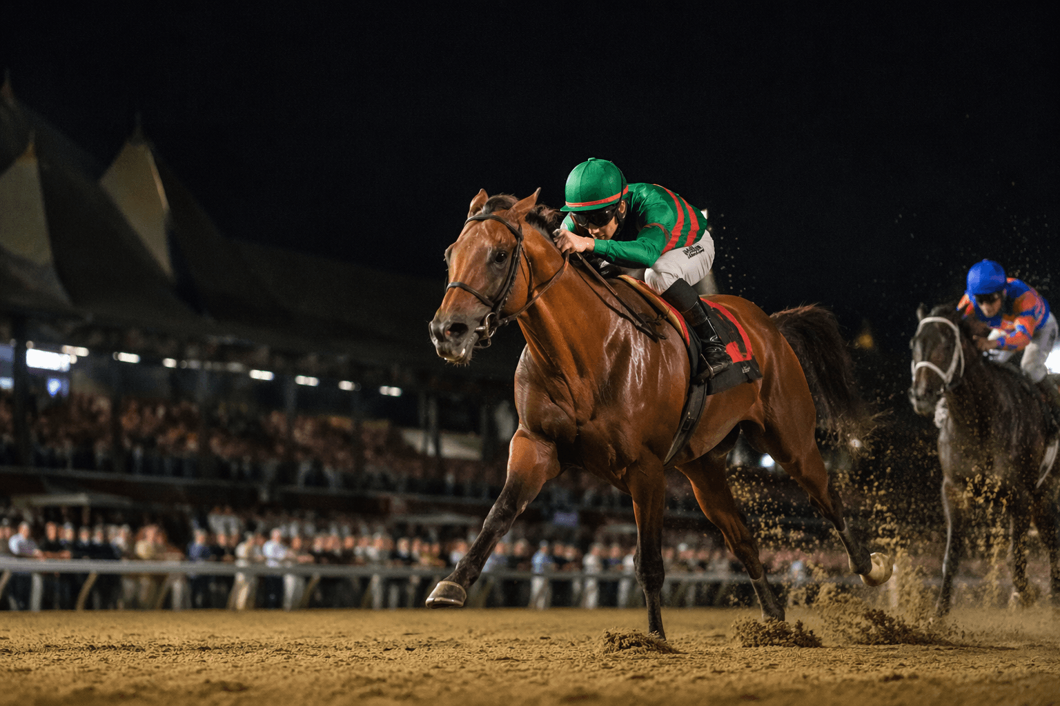 Roja wires Intercontinental Stakes for first graded stakes victory