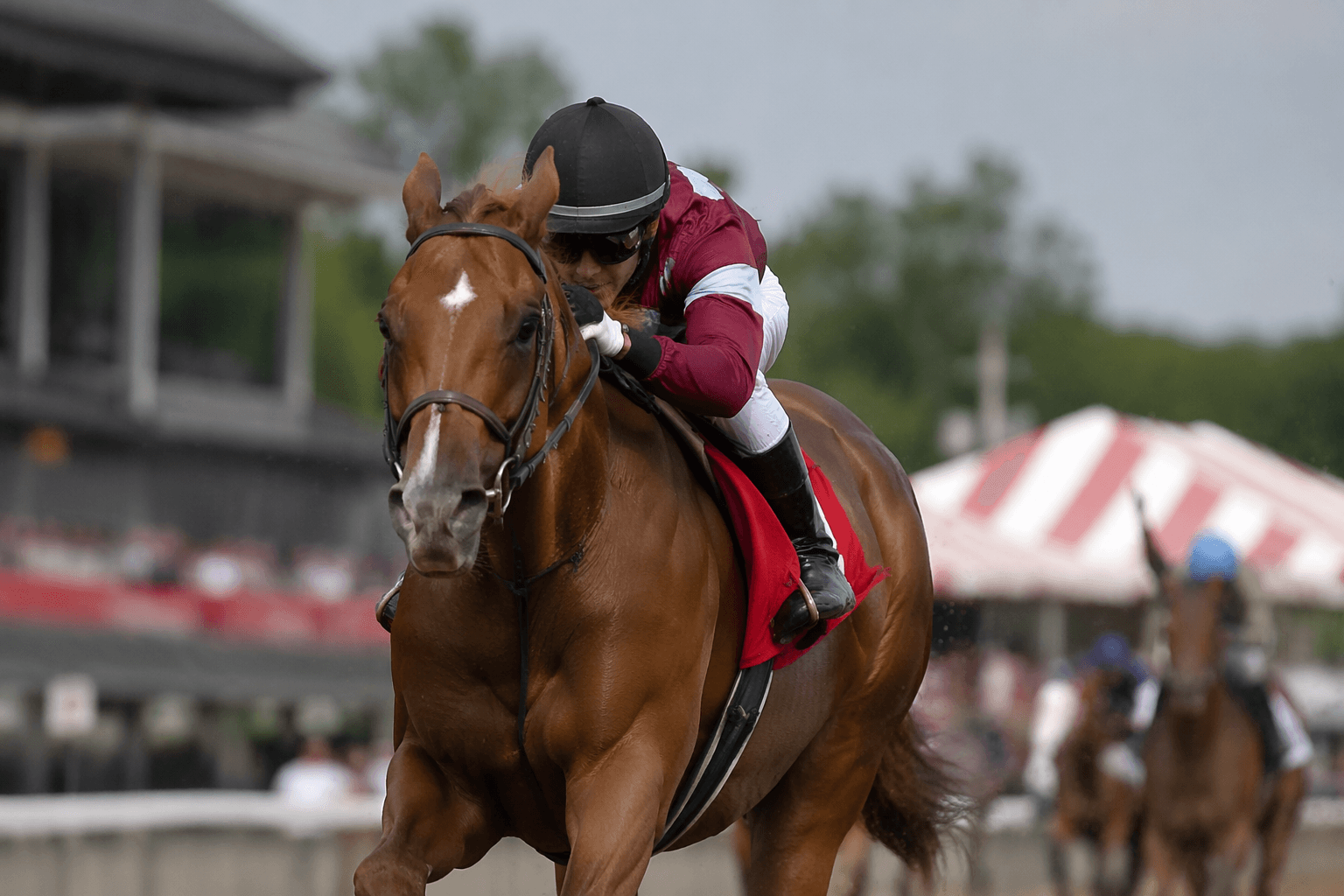 Luminous Beauty powers to easy Saratoga maiden win