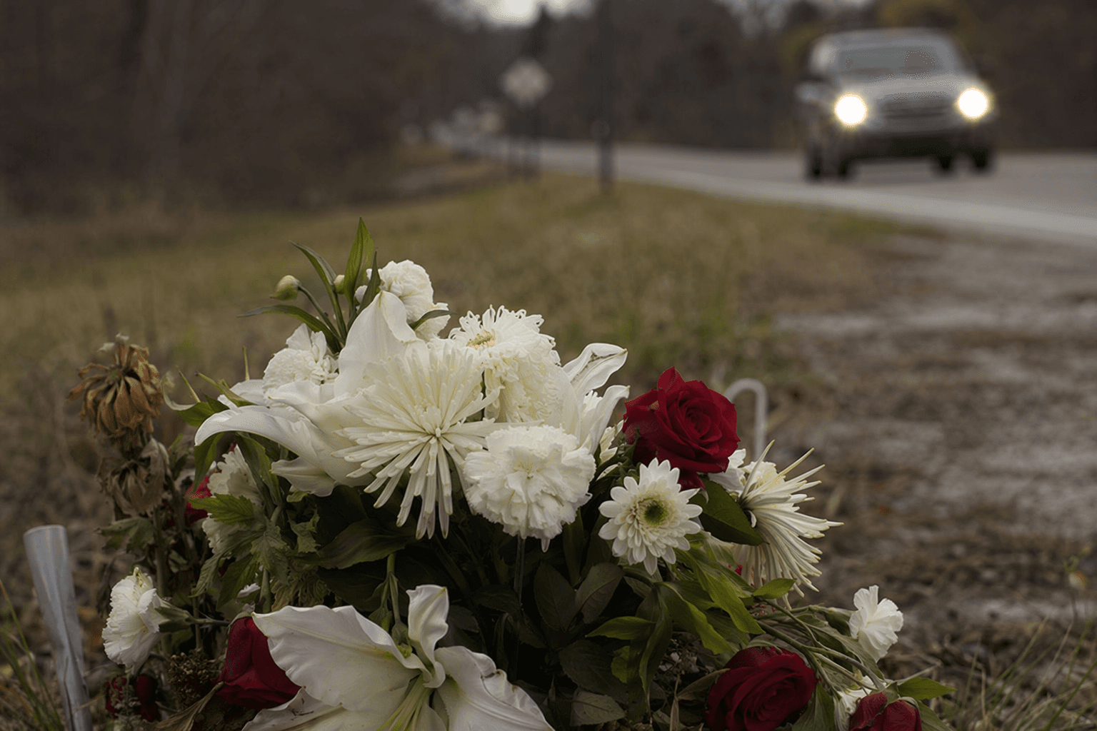 Geneva woman charged in deadly State Road 46 crash