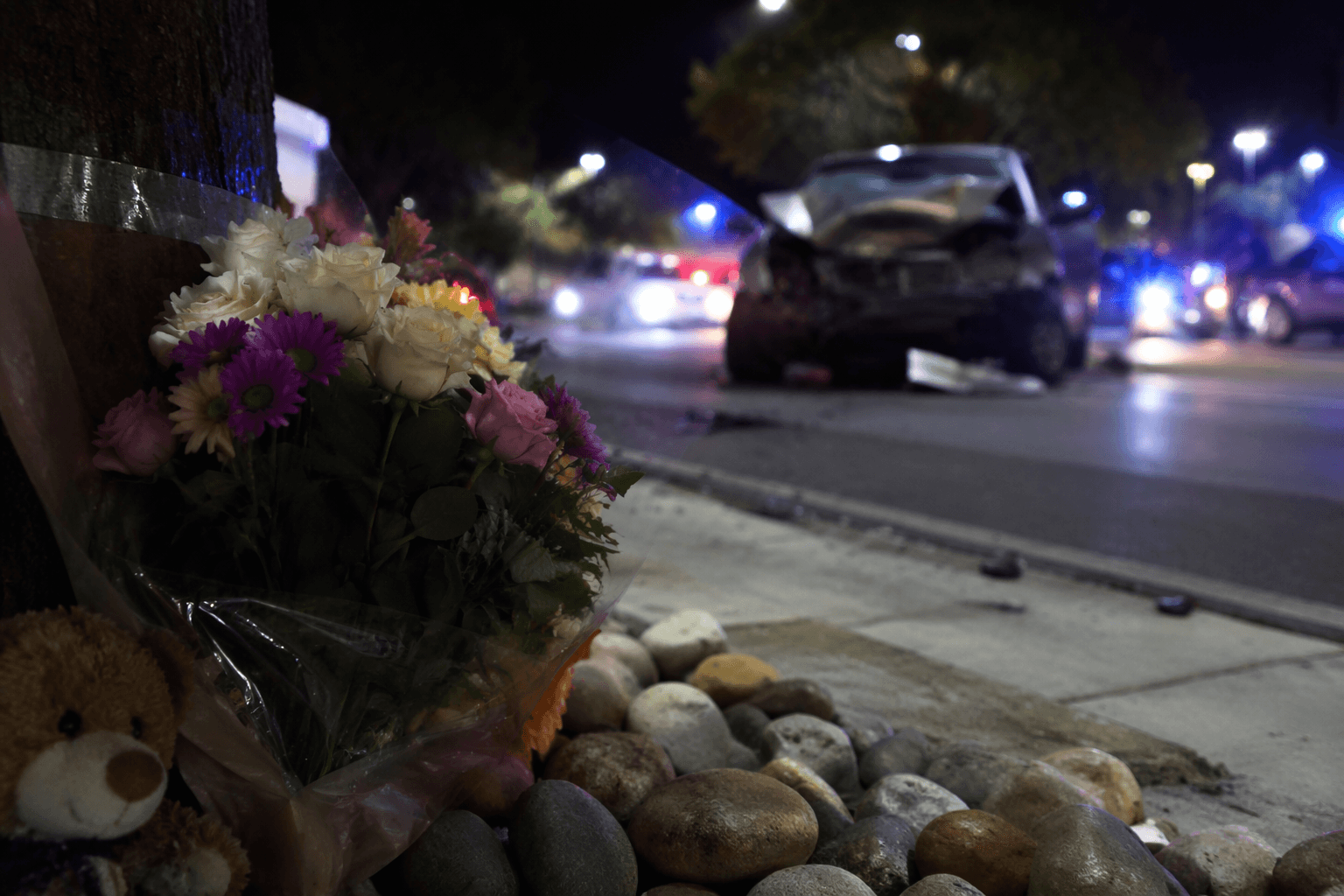 Douglas County hit-and-run suspect faces vehicular homicide charge