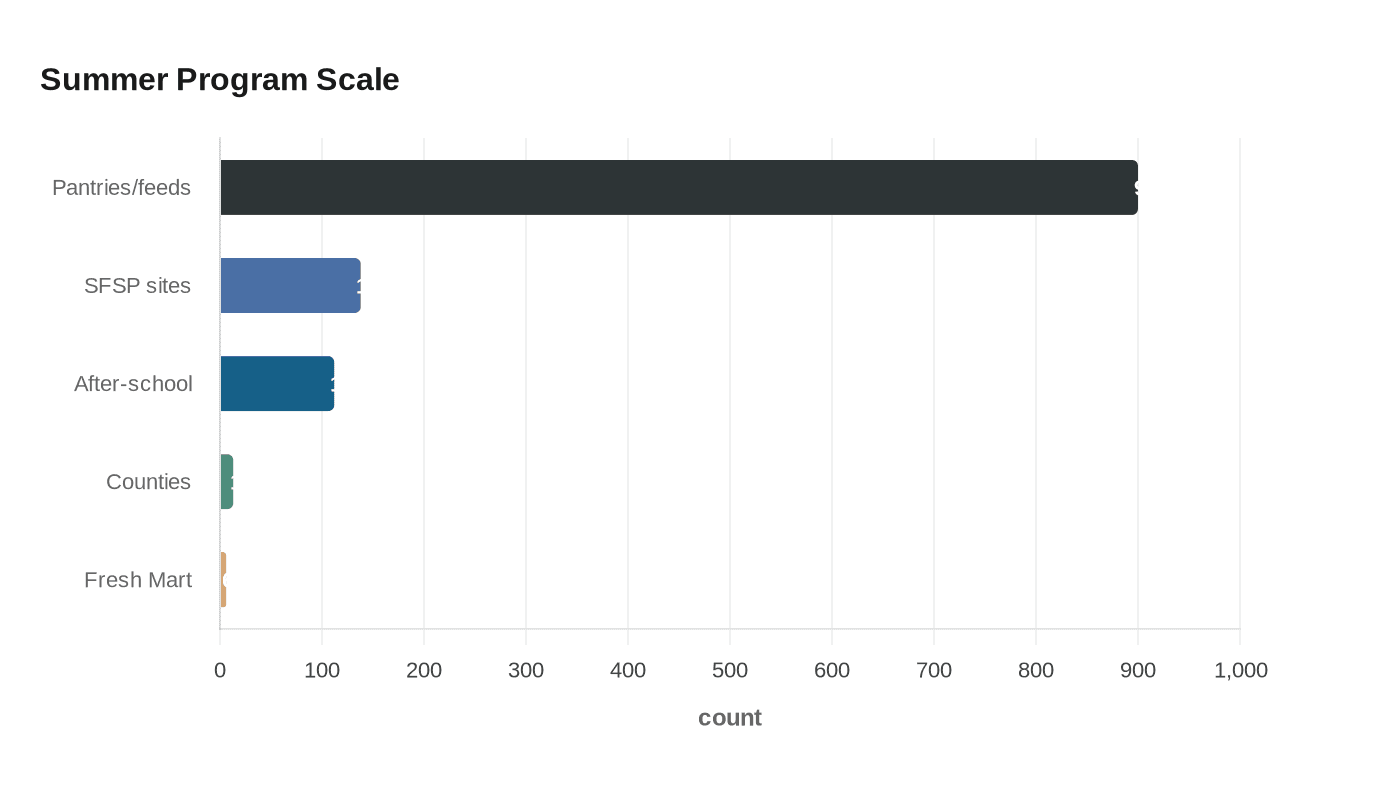 Summer Program Scale