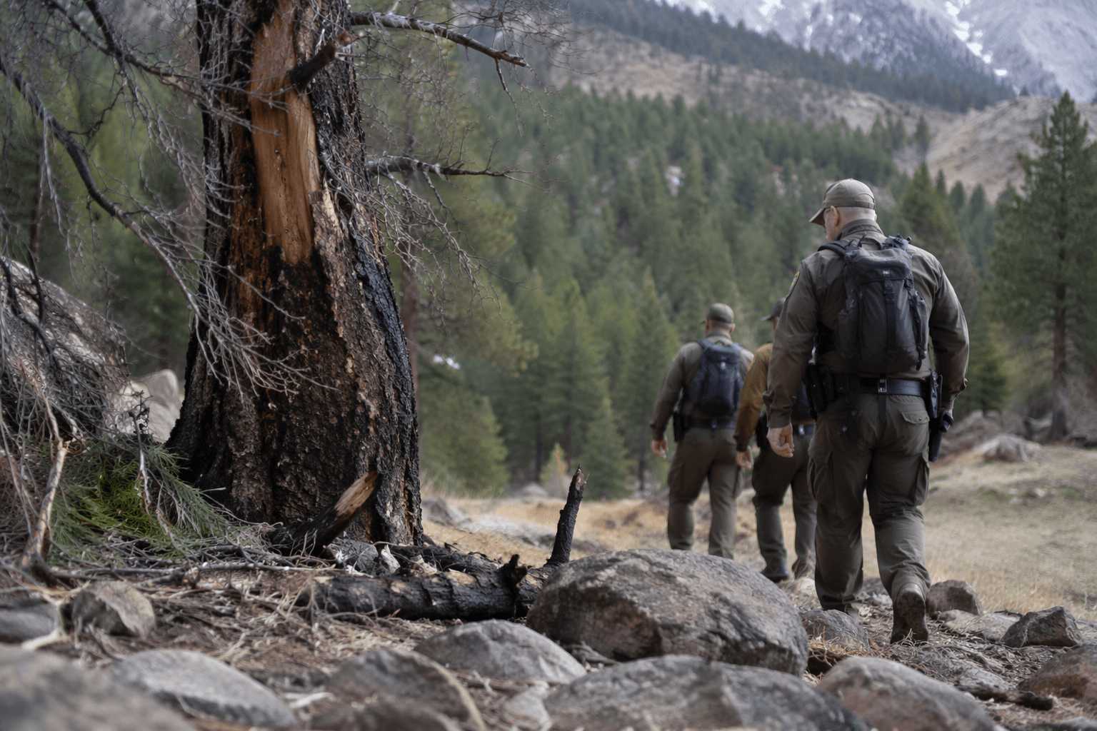 Remains found in Carson National Forest identified as missing LANL employee