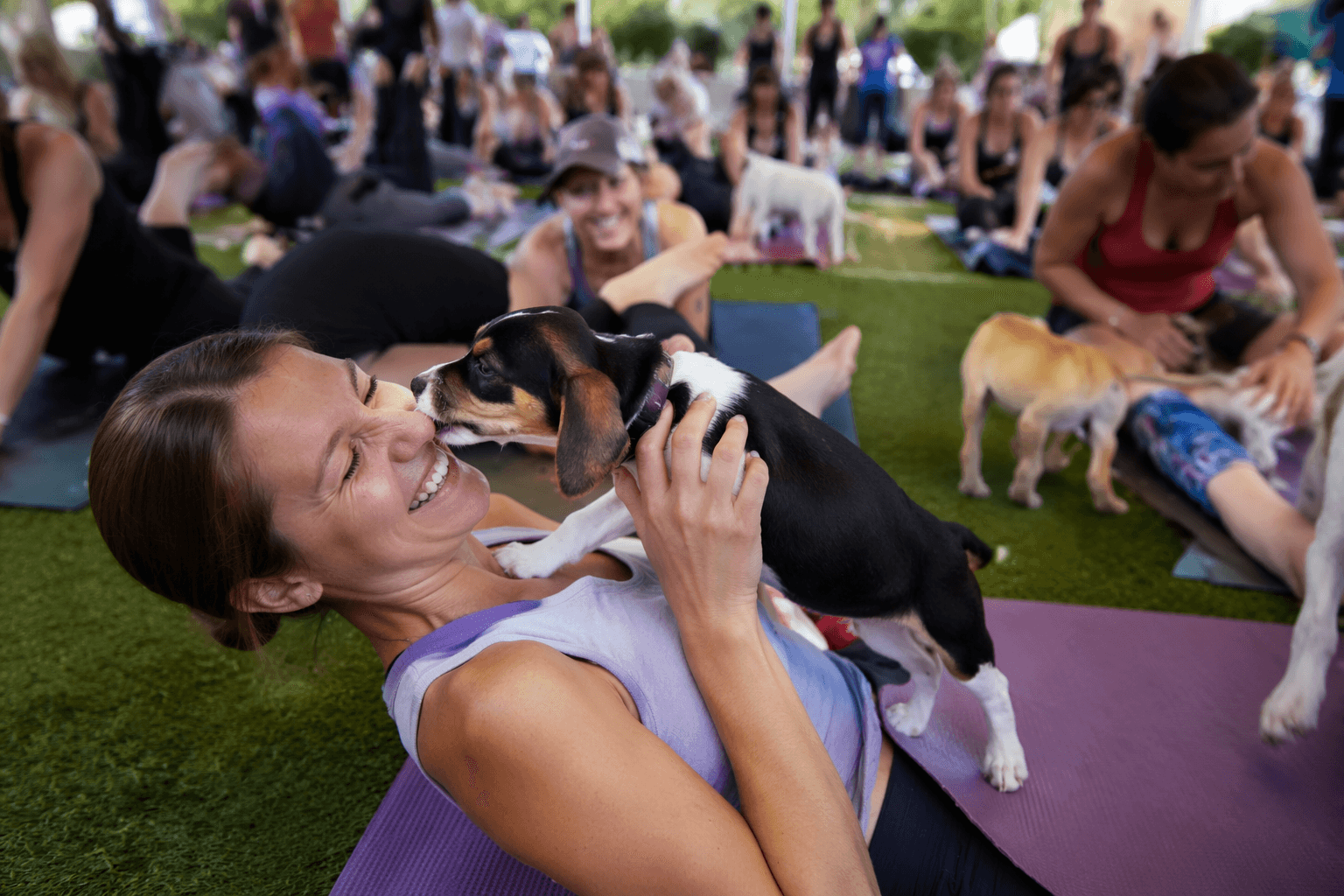 Puppy yoga returns to Reston Town Center with rescue dogs