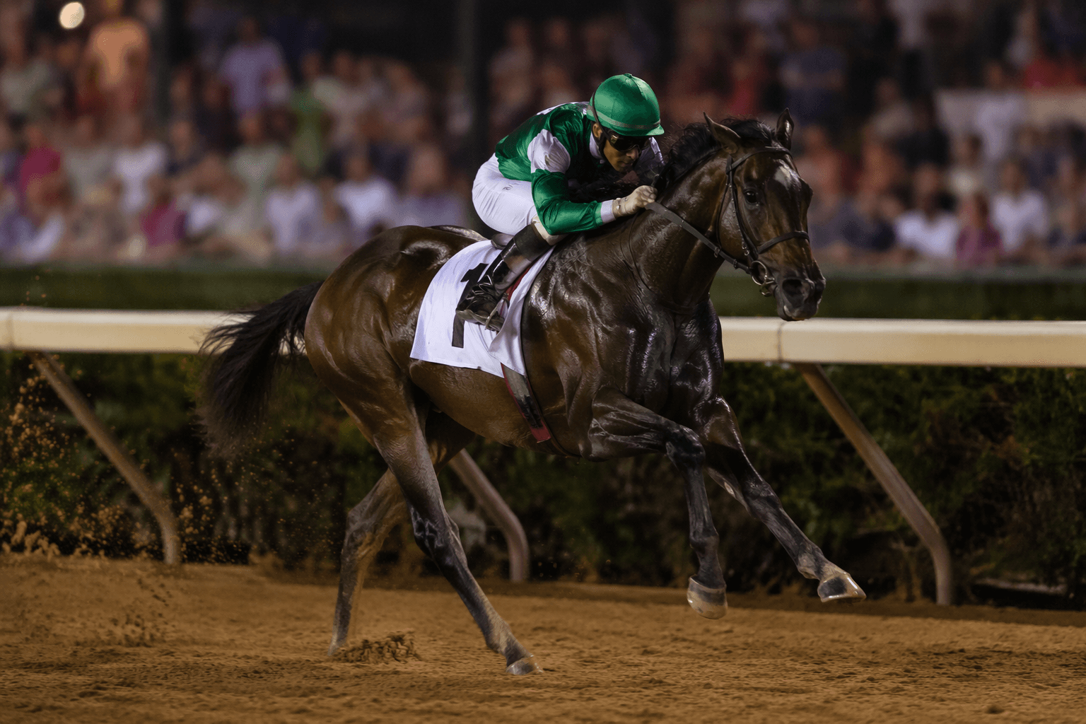 Juddmonte unveils Crowning Glory, pedigree-rich debut at Saratoga