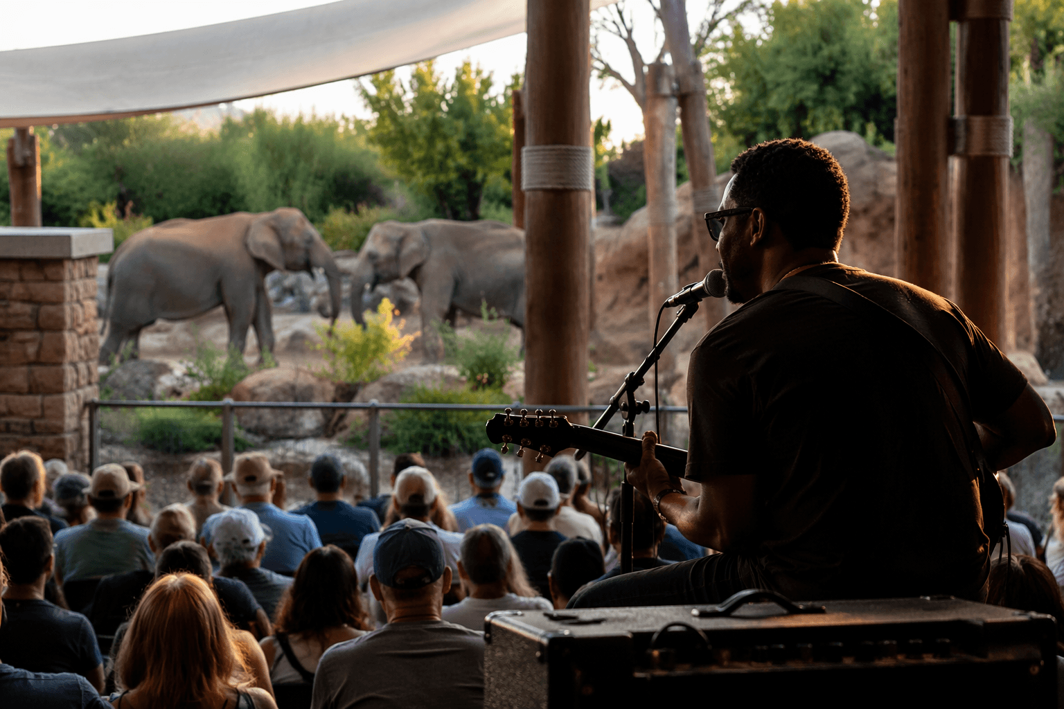Albuquerque BioPark opens 2026 zoo concert series with Eddie 9V