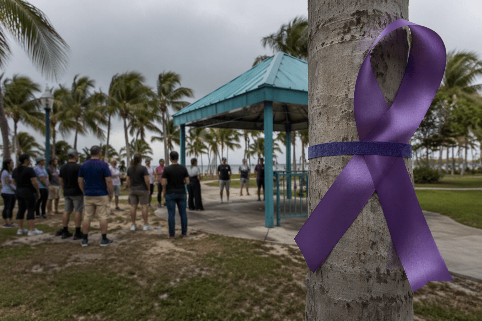 Monroe County health officials invite public to Revive Awareness Day
