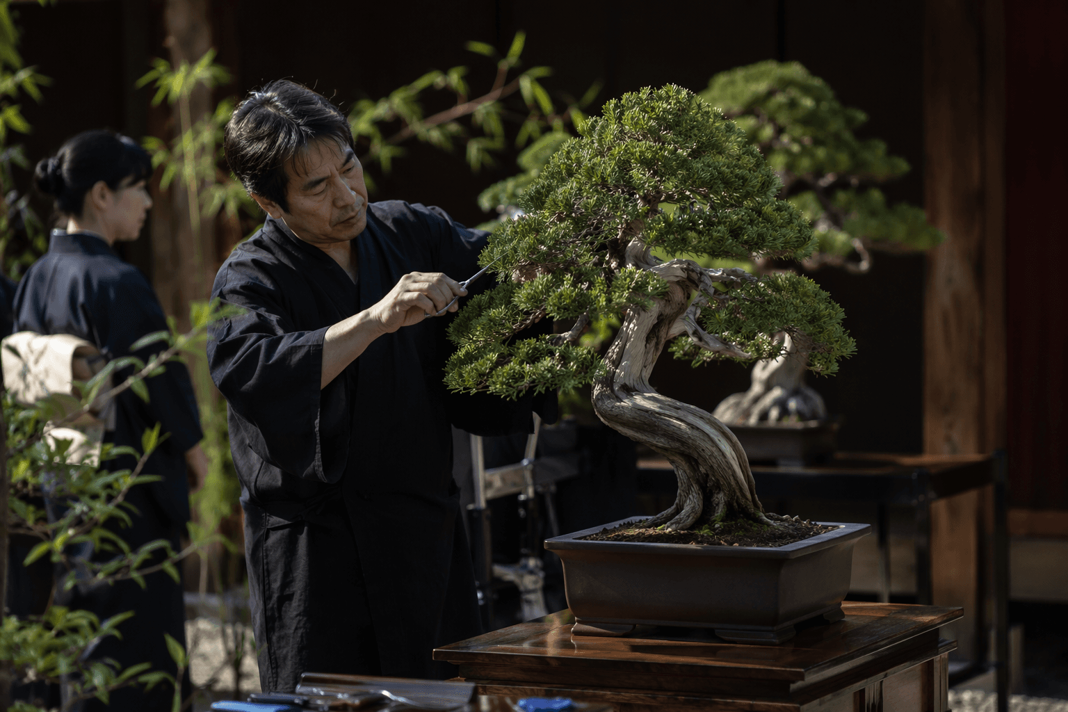 Prague botanical garden revives bonsai and Japanese culture festival