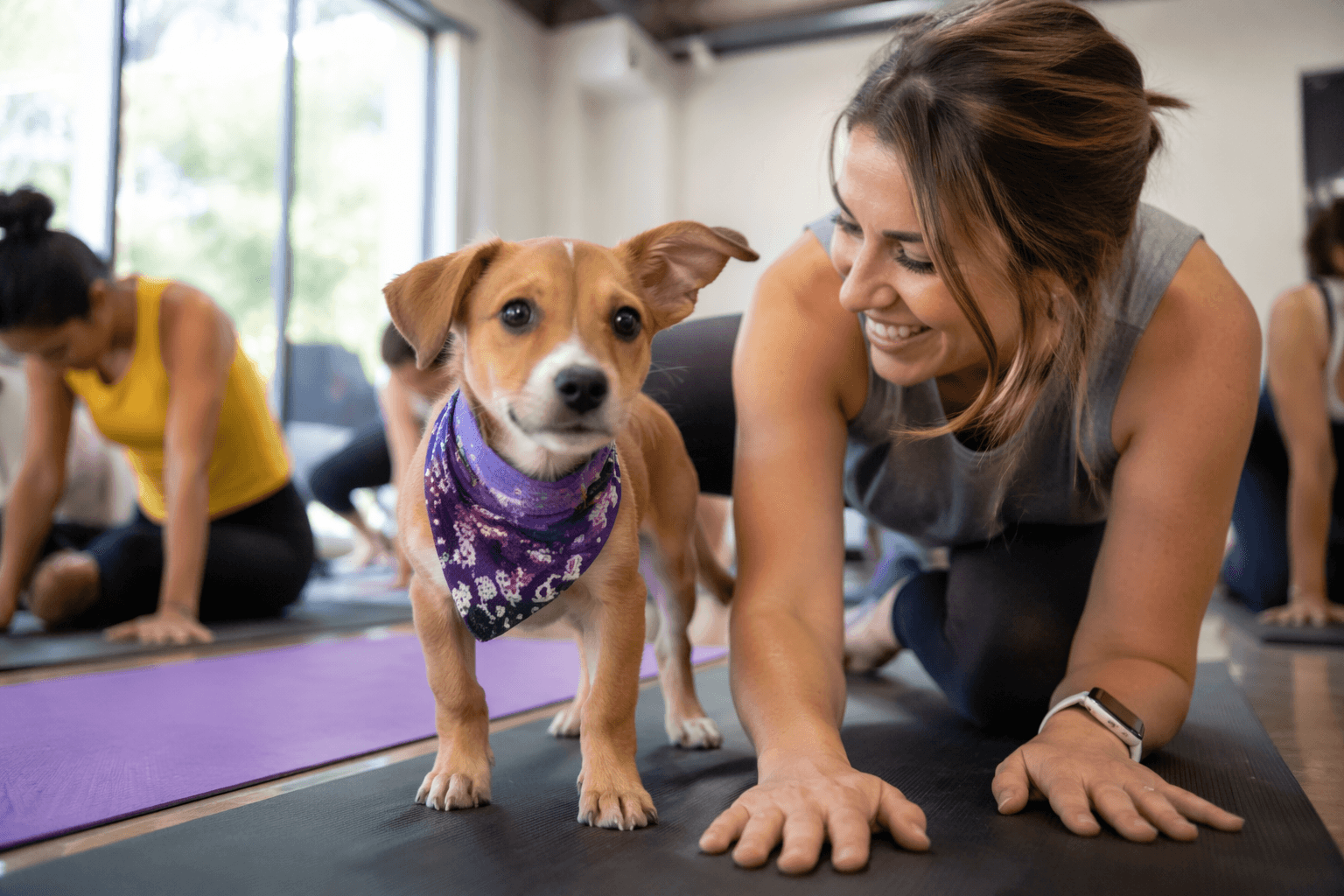 Rescue puppy yoga brings fundraising class to Oak Park this Saturday