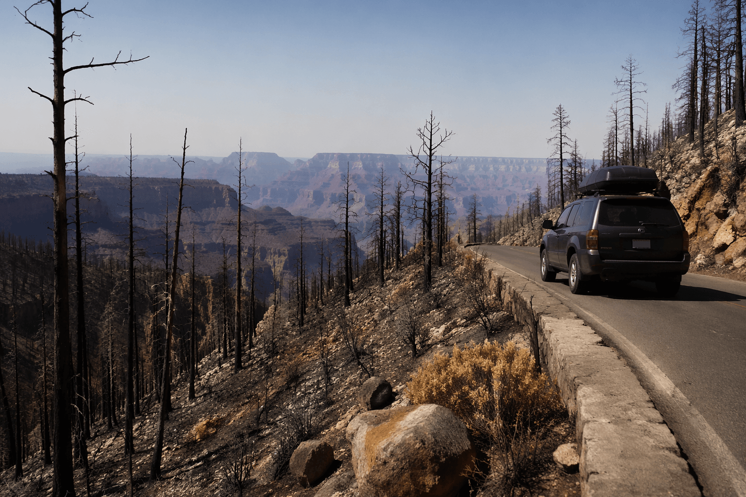 Grand Canyon North Rim reopens to scarred post-fire landscape